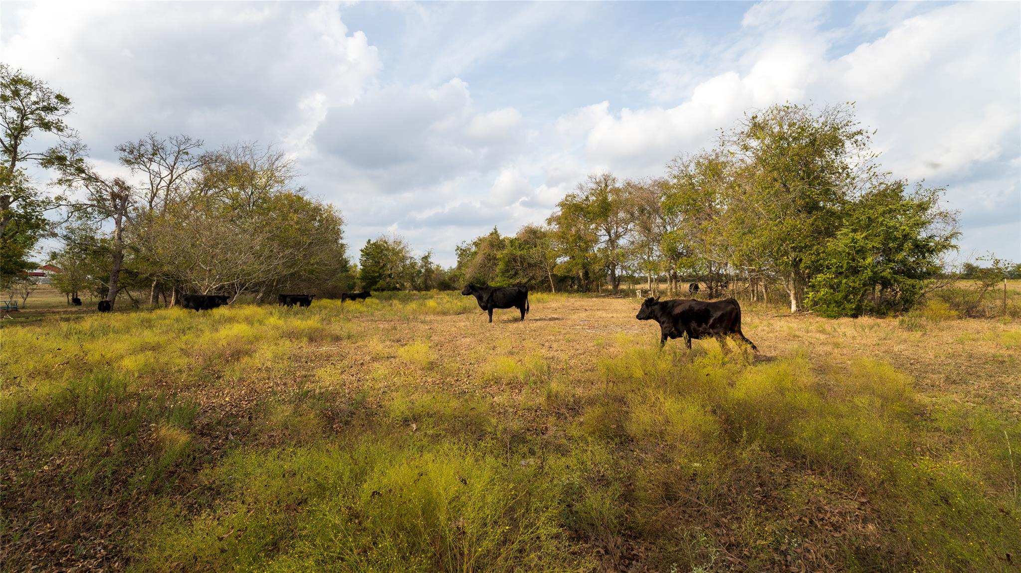 4646 Fm 2679 Rd, Burton, TX 77835