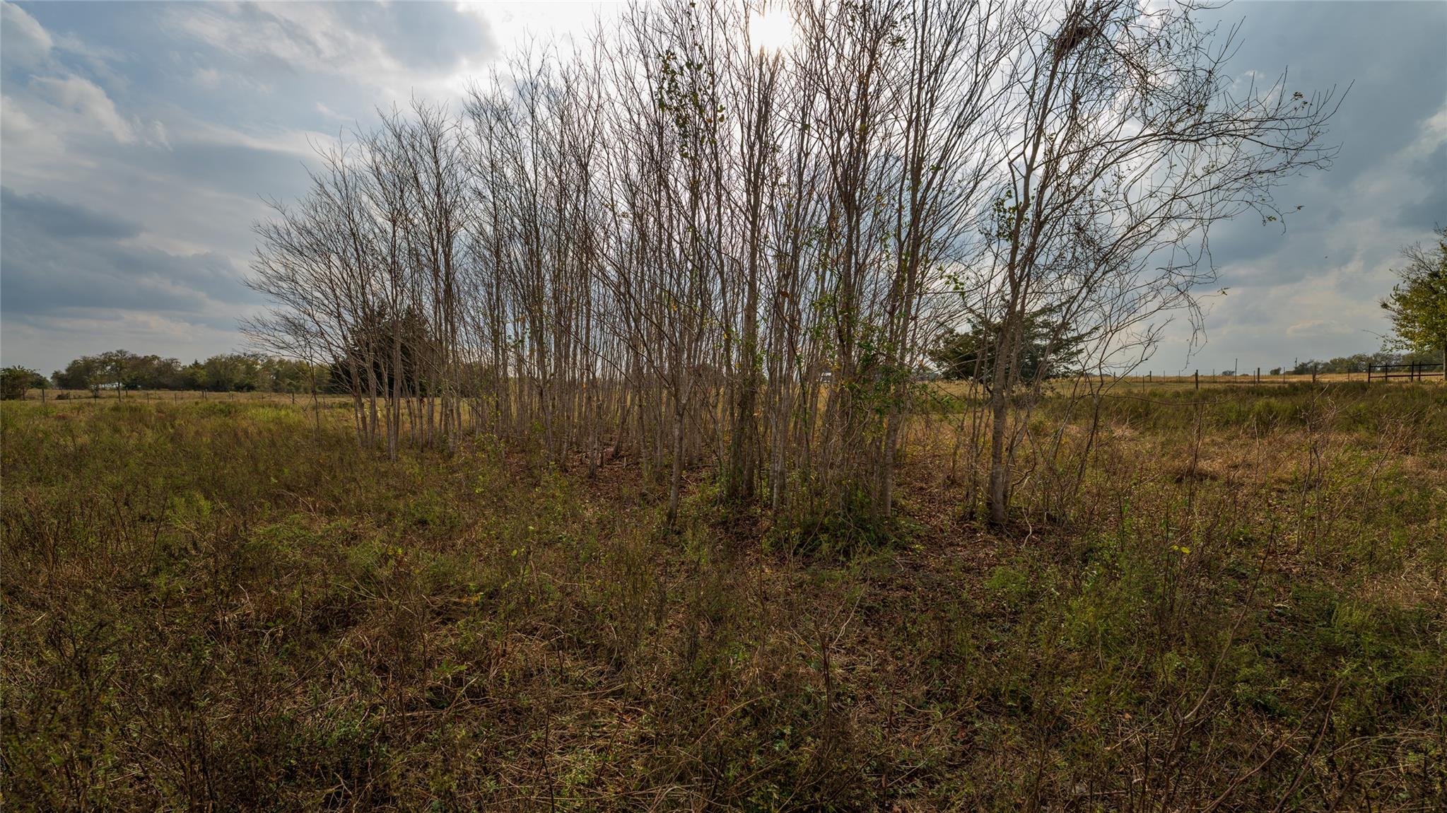 4646 Fm 2679 Rd, Burton, TX 77835