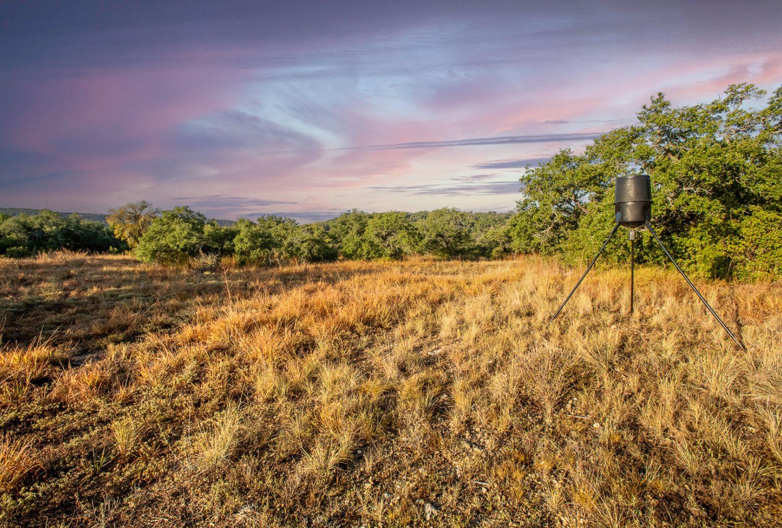 12516 Wire Rd, Leander, TX 78641