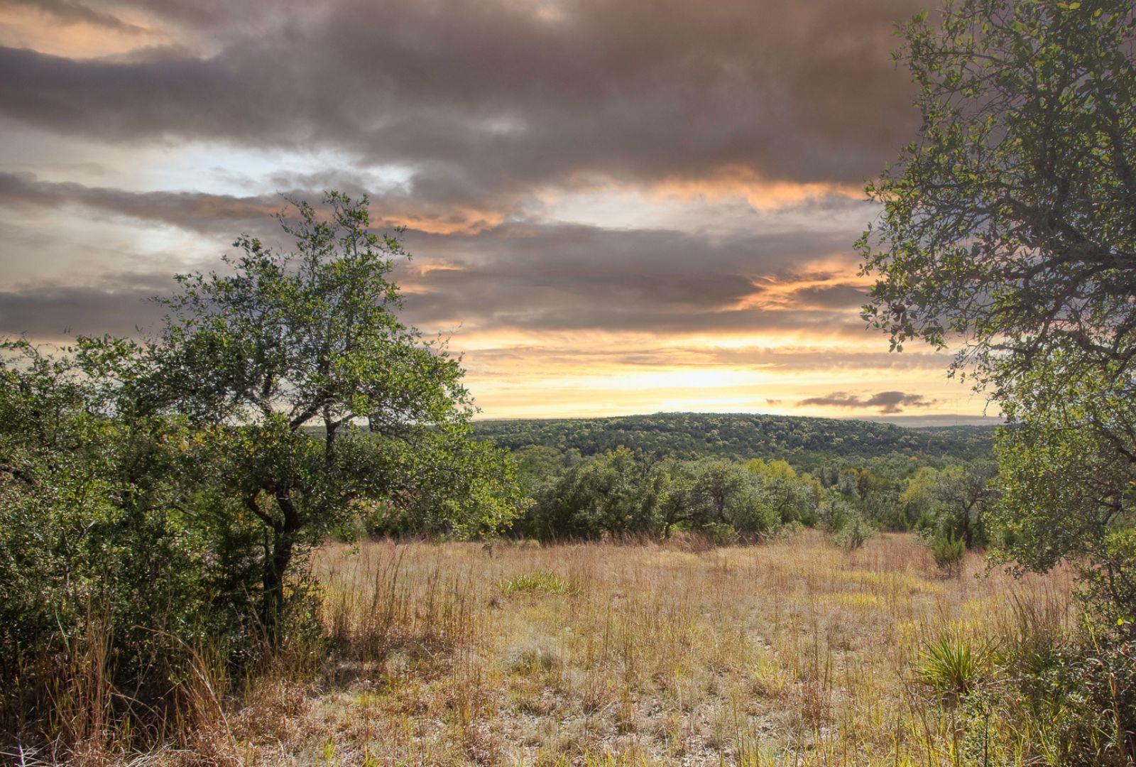 12516 Wire Rd, Leander, TX 78641