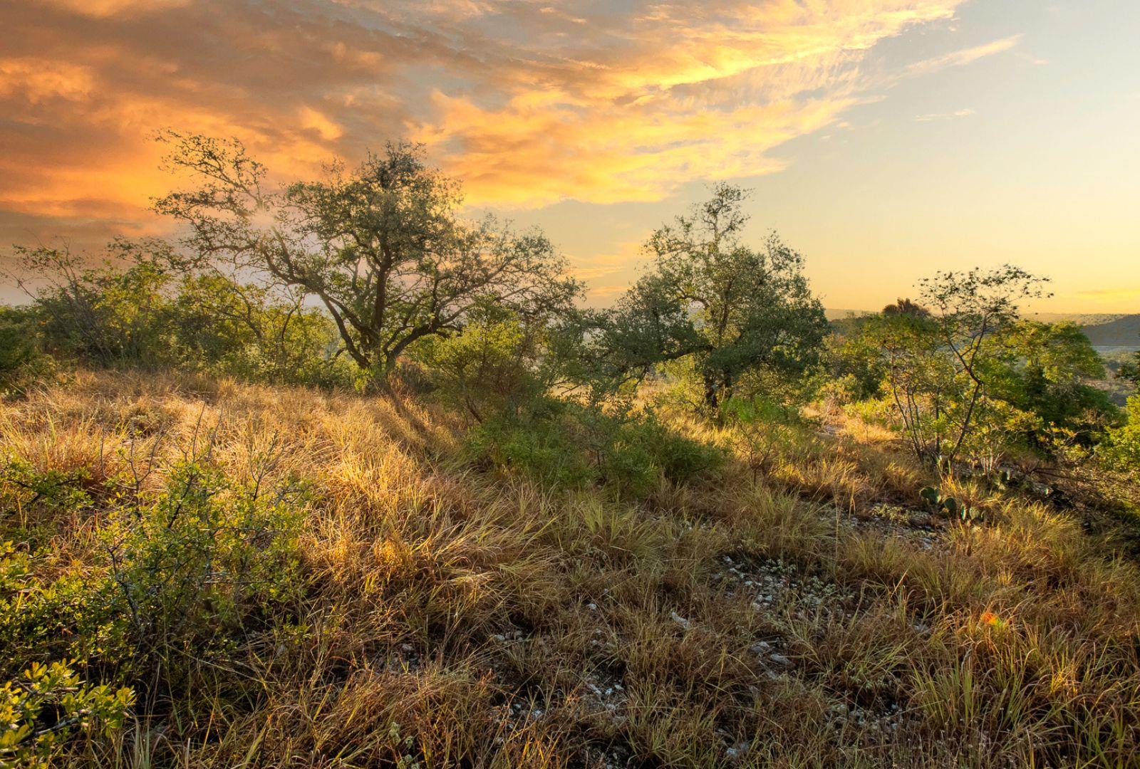 12516 Wire Rd, Leander, TX 78641