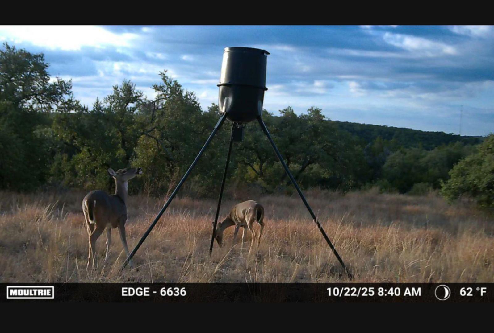 12516 Wire Rd, Leander, TX 78641