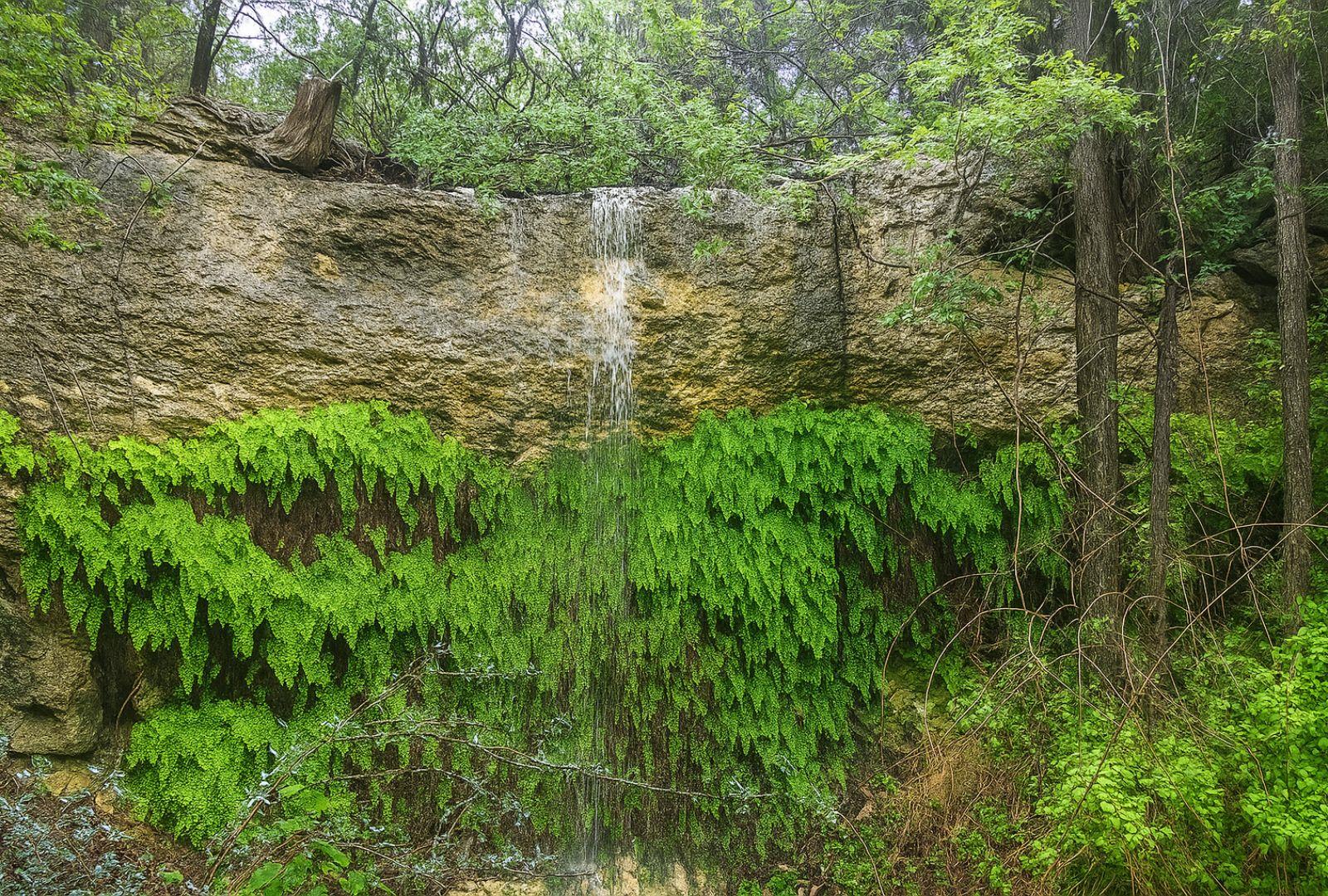 12516 Wire Rd, Leander, TX 78641