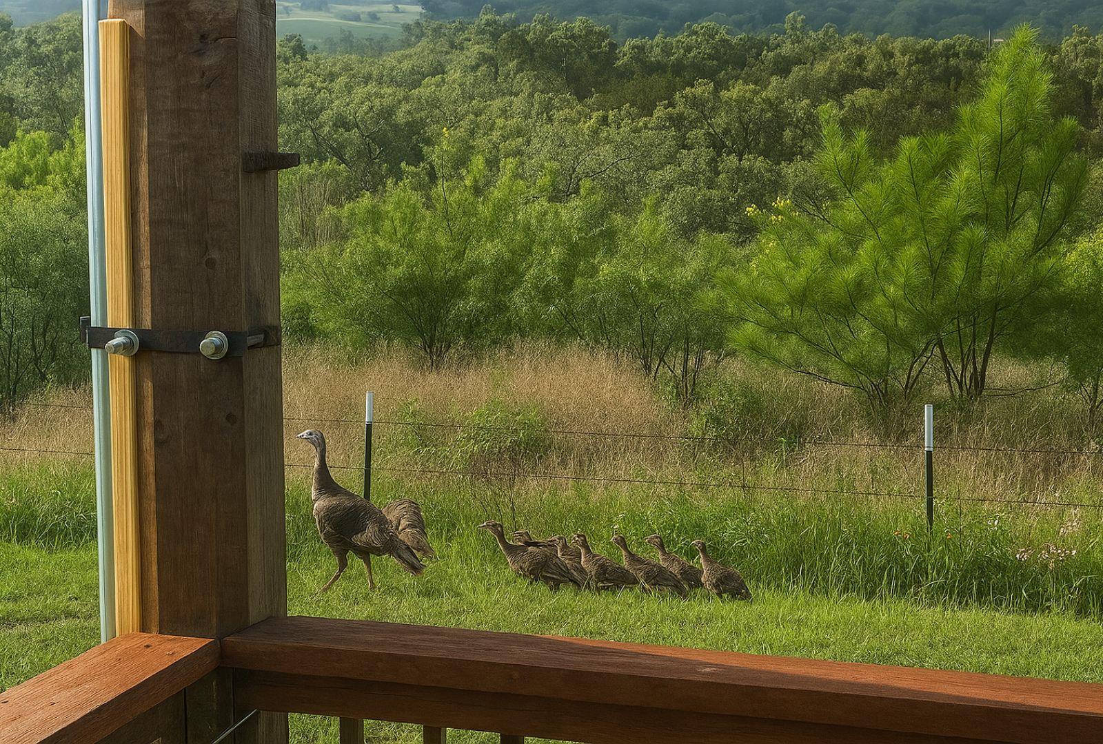 12516 Wire Rd, Leander, TX 78641