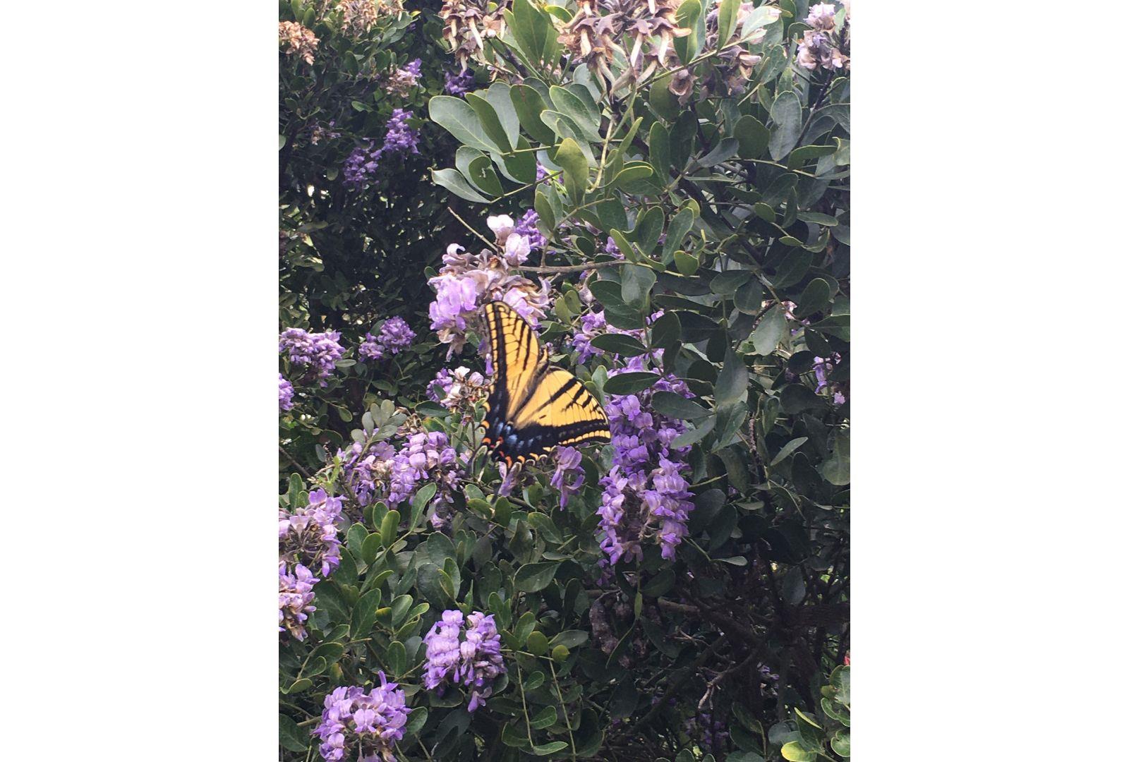 12516 Wire Rd, Leander, TX 78641