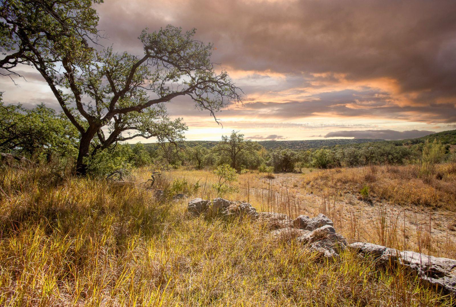 12516 Wire Rd, Leander, TX 78641