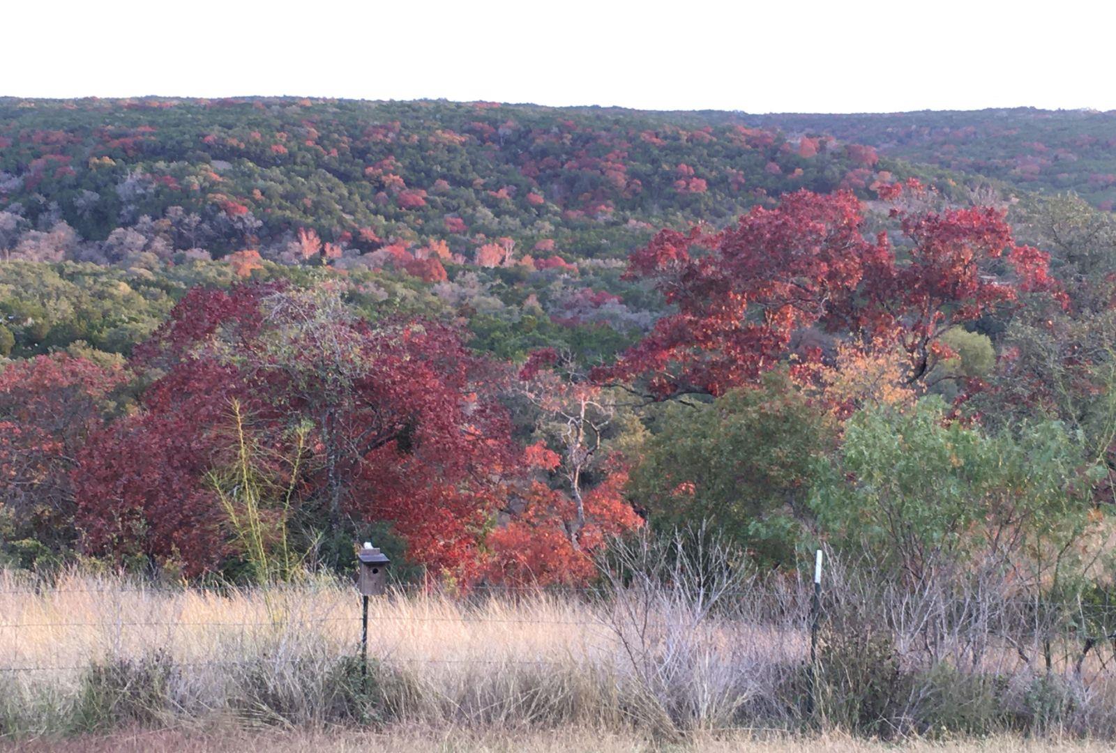 12516 Wire Rd, Leander, TX 78641