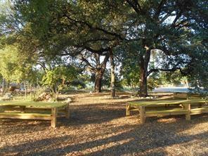 12007 Scribe Dr, Austin, TX 78759