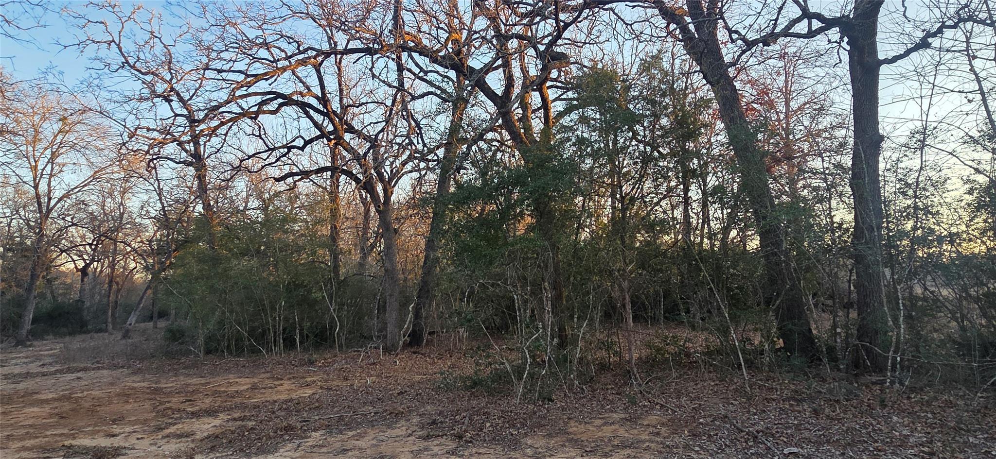 314 County Road Lot 8 TBD Rd, Rockdale, TX 76567