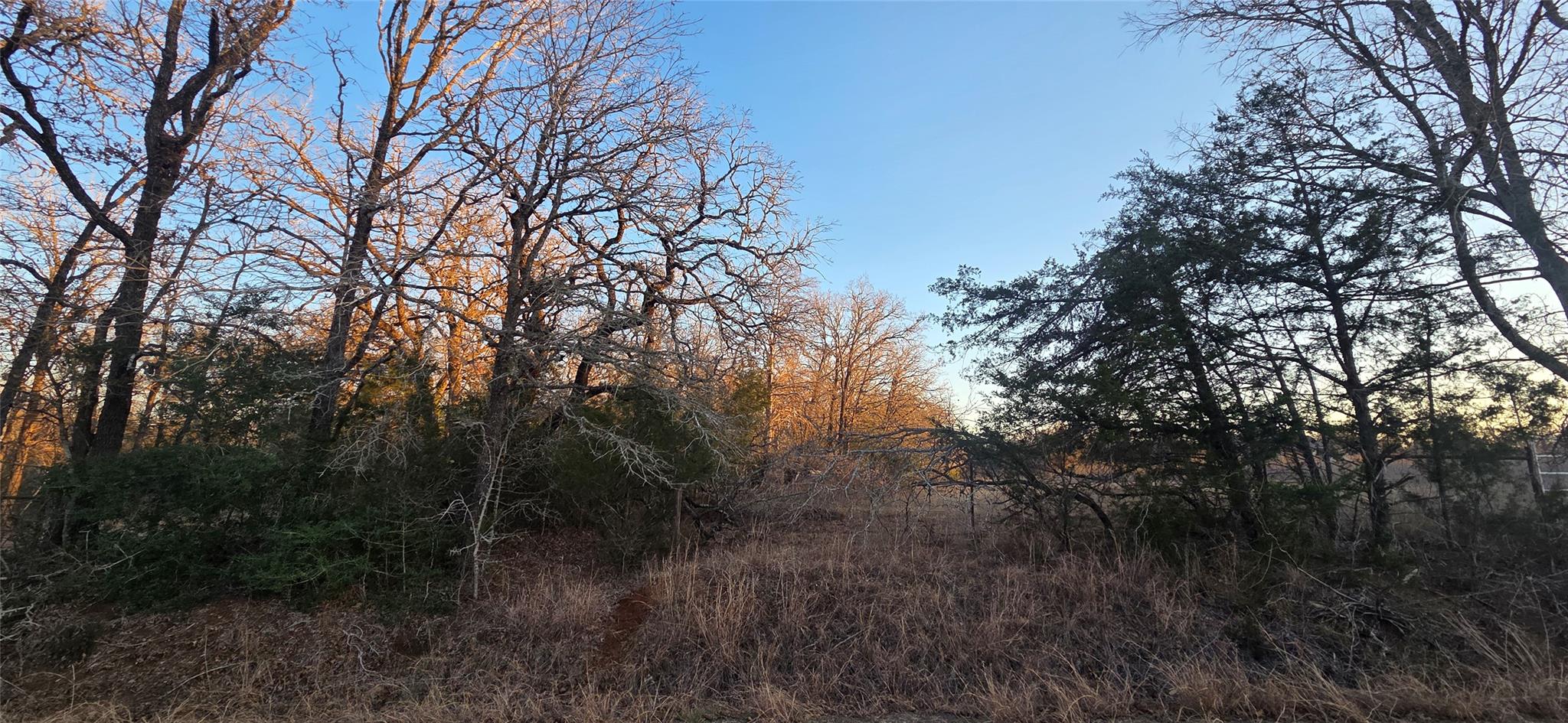 314 County Road Lot 8 TBD Rd, Rockdale, TX 76567