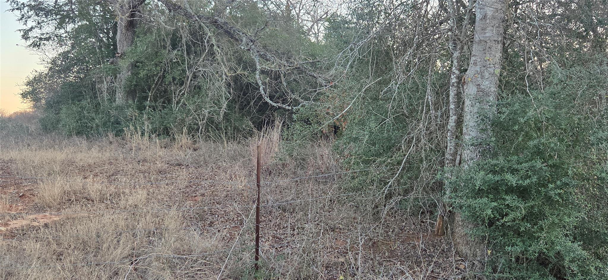 314 County Road Lot 8 TBD Rd, Rockdale, TX 76567