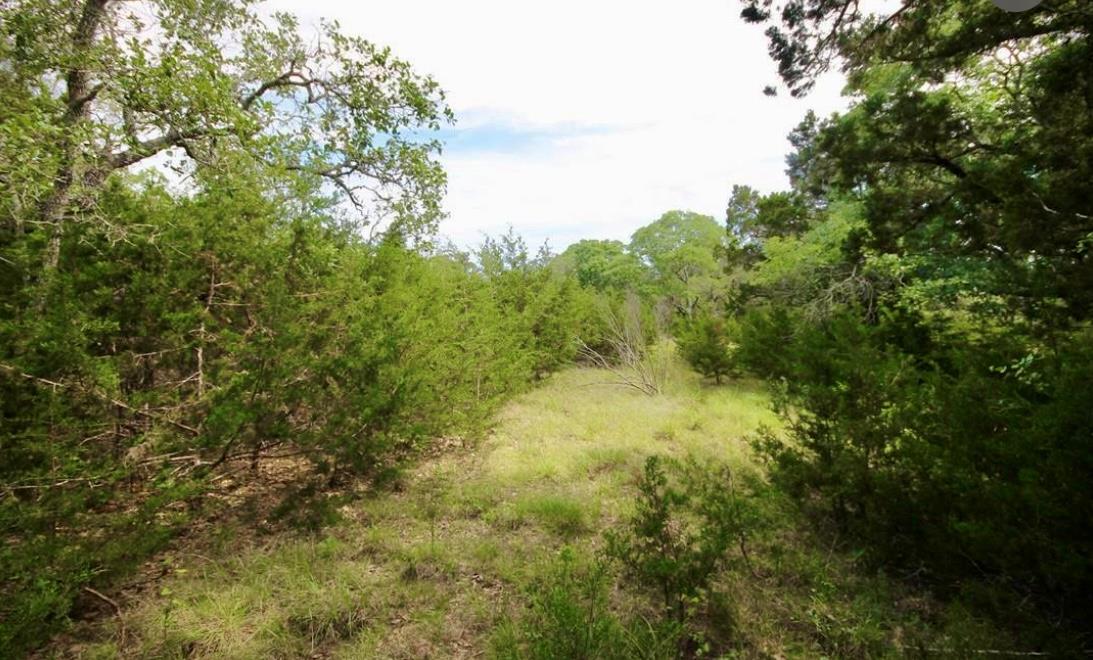 179 Shawnee Trl, Dripping Springs, TX 78620