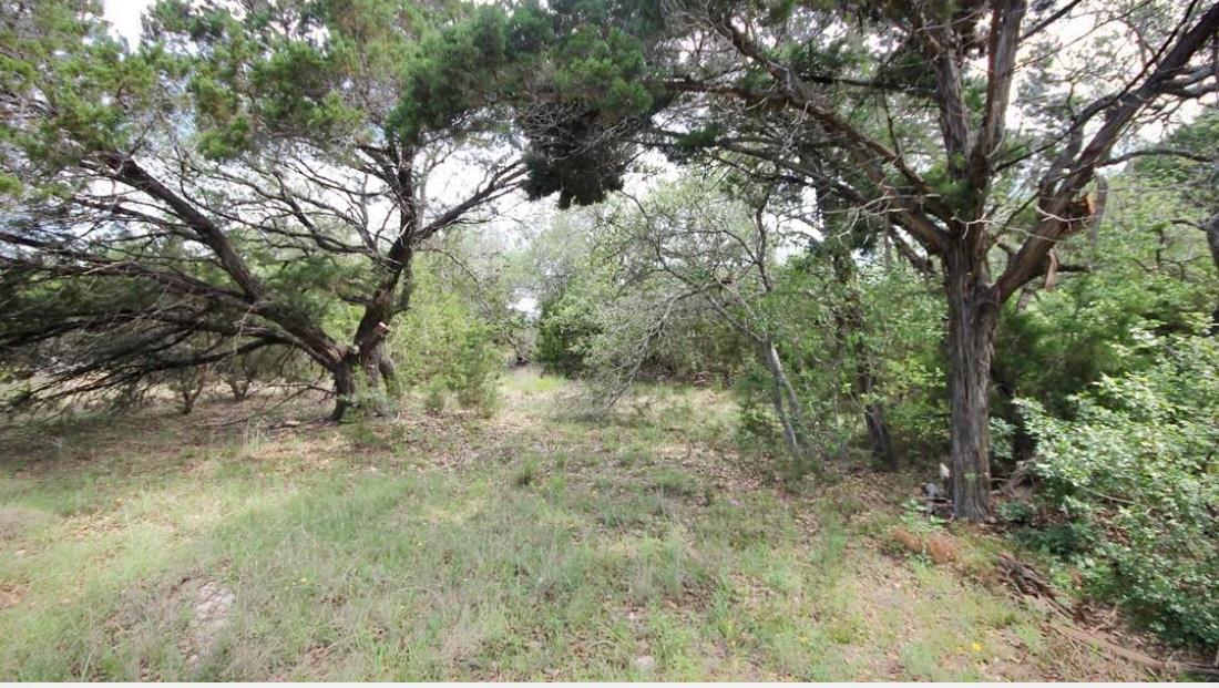 179 Shawnee Trl, Dripping Springs, TX 78620