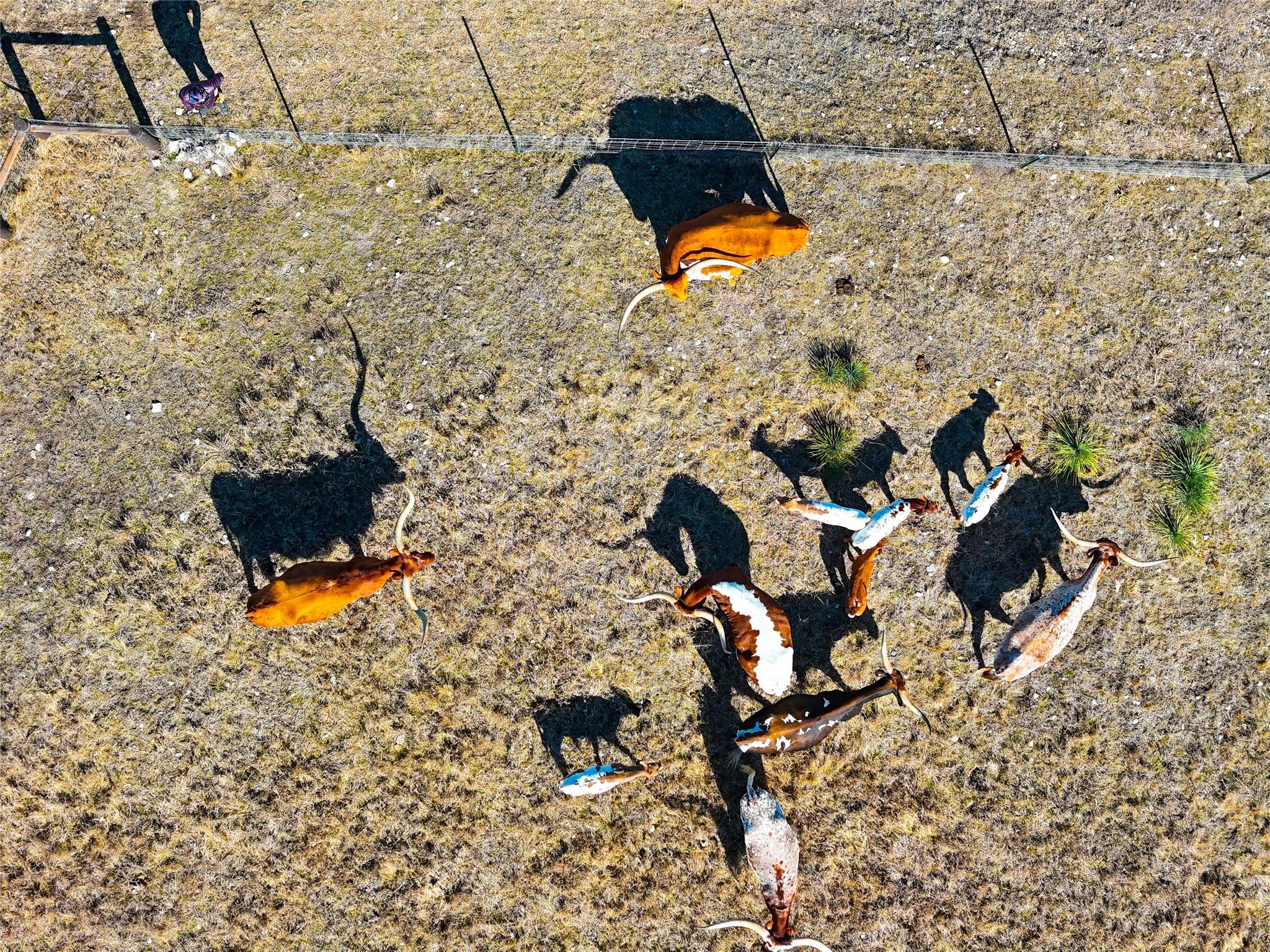 TBD Lipan Apache Run, Blanco, TX 78606