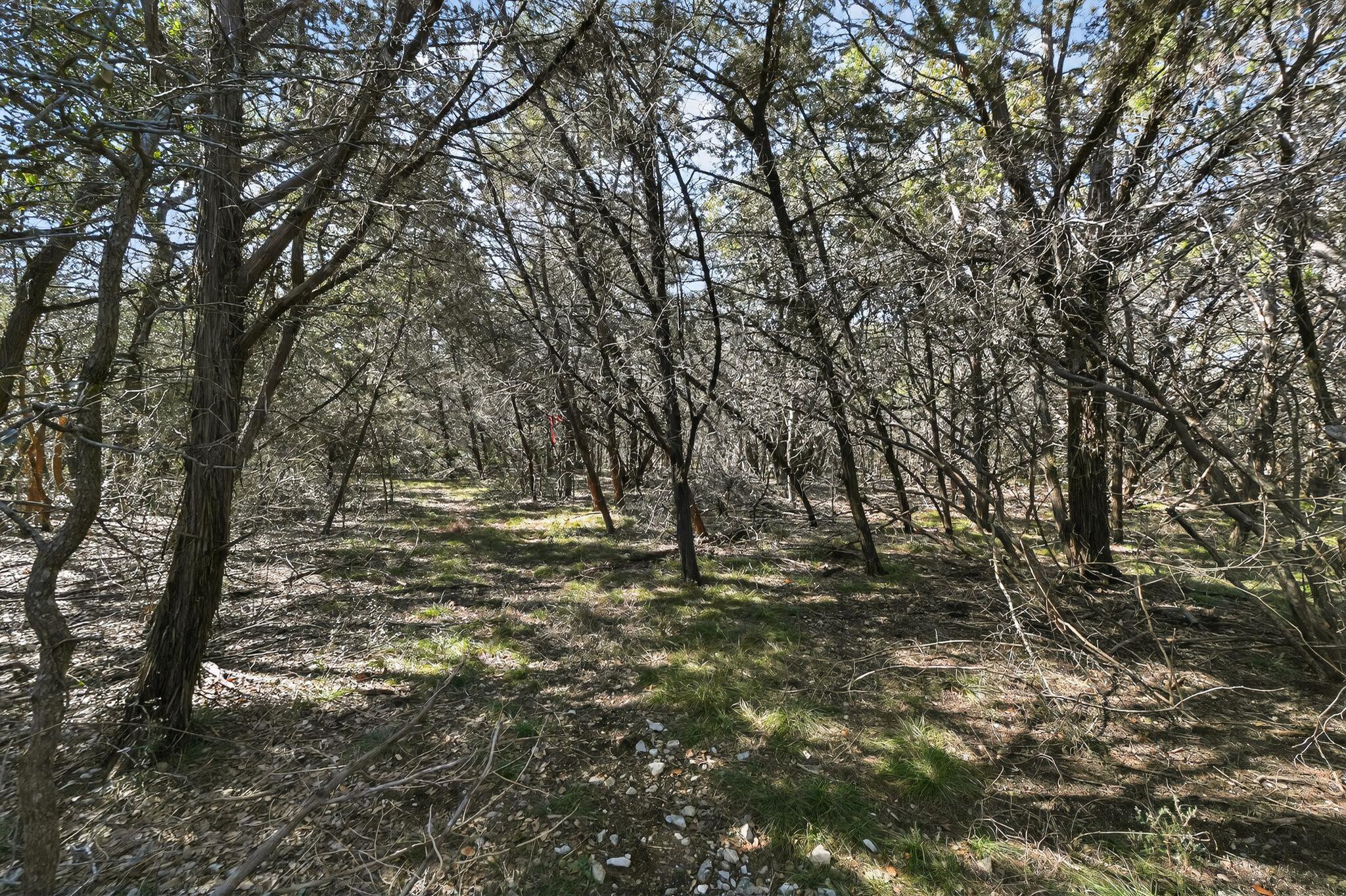 00 Royal St, Salado, TX 76571