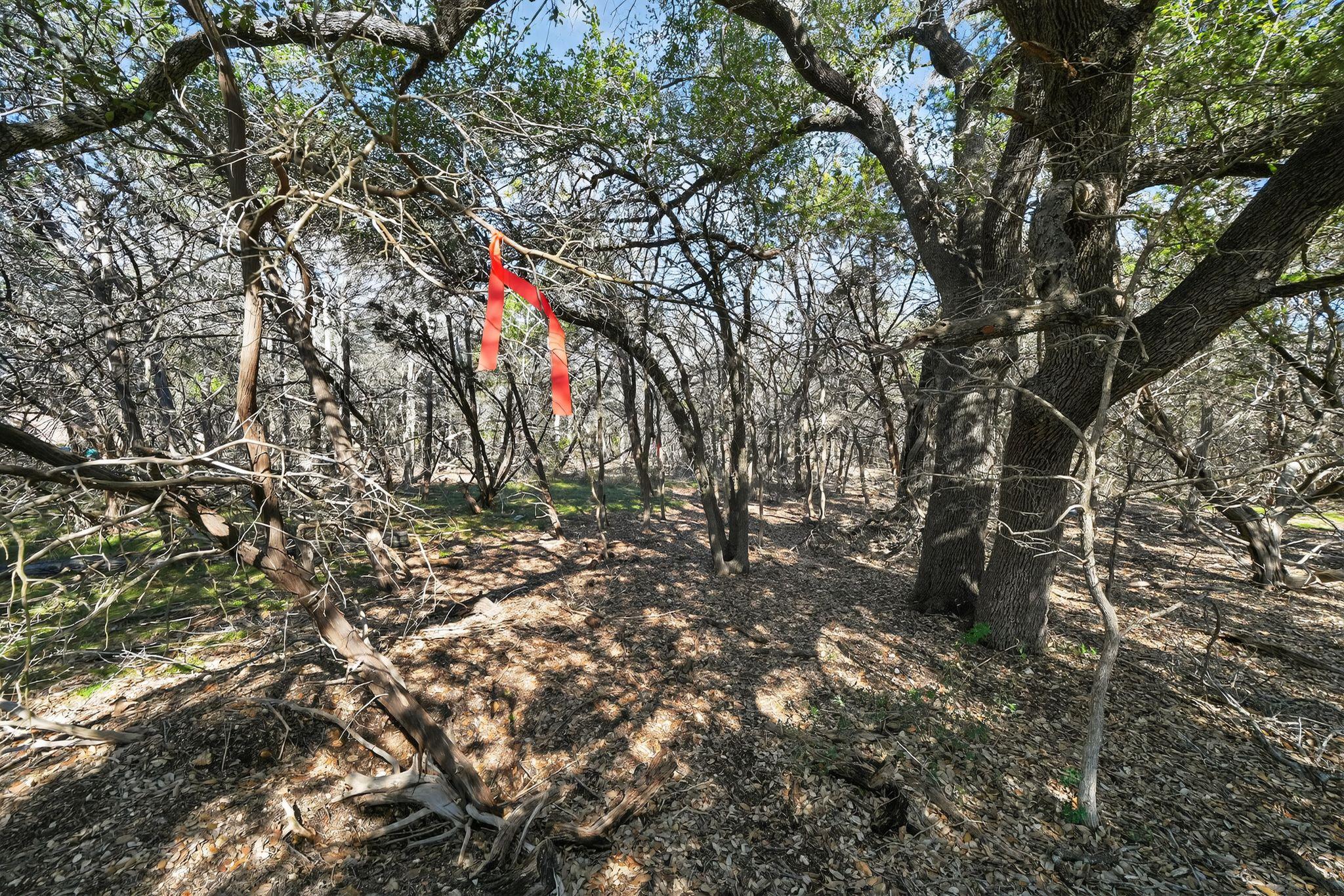 00 Royal St, Salado, TX 76571