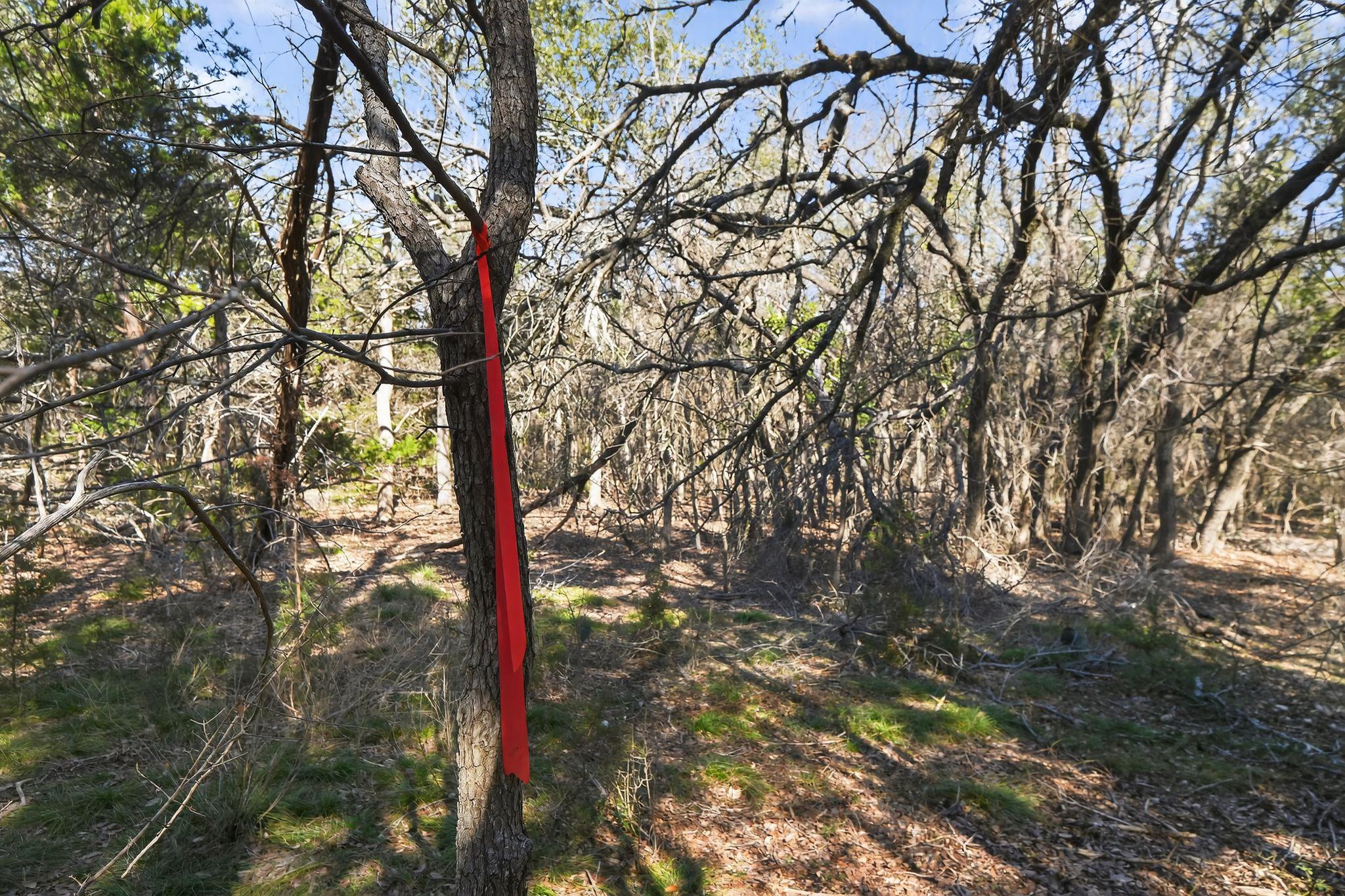 00 Royal St, Salado, TX 76571