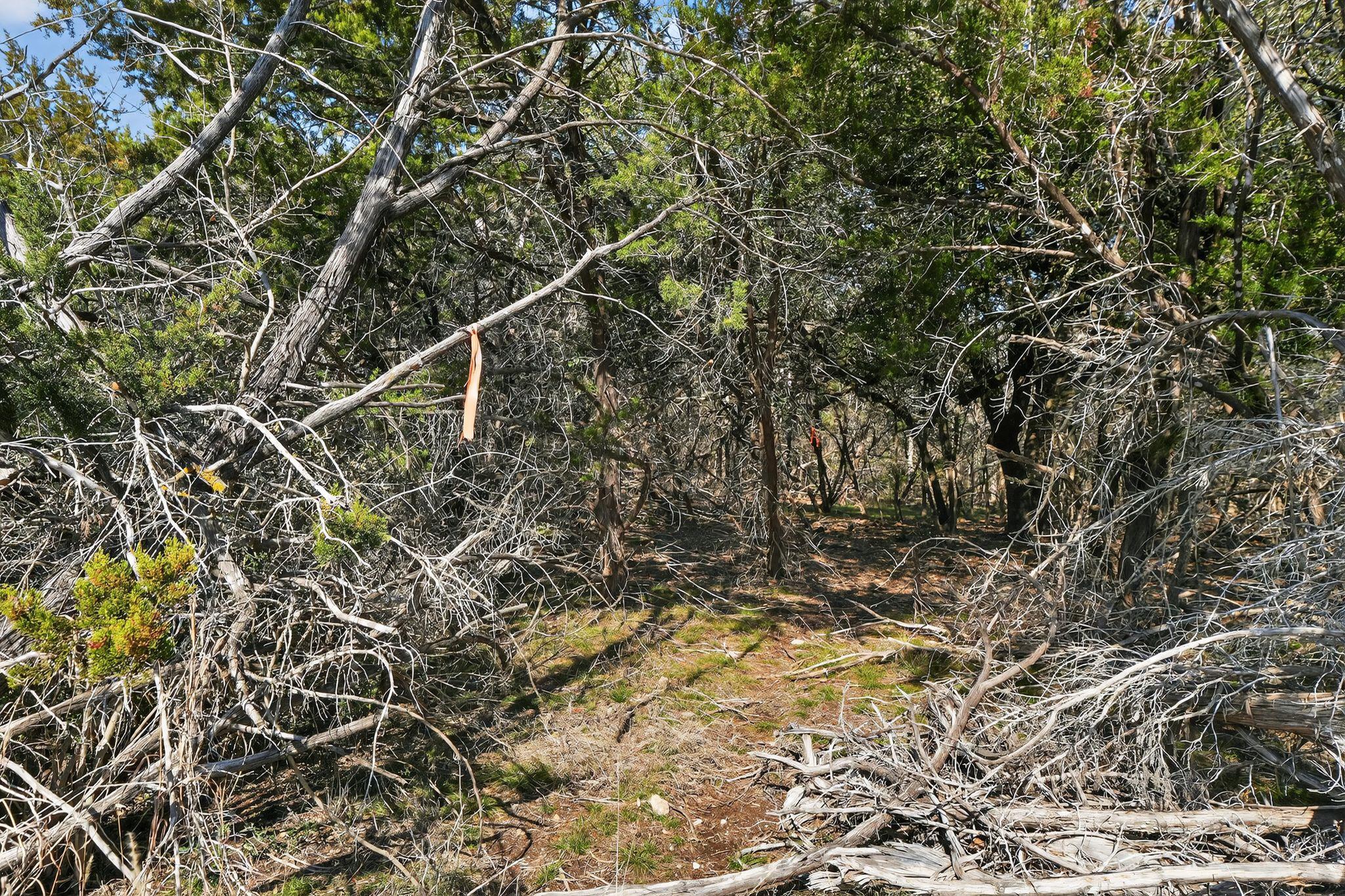 00 Royal St, Salado, TX 76571