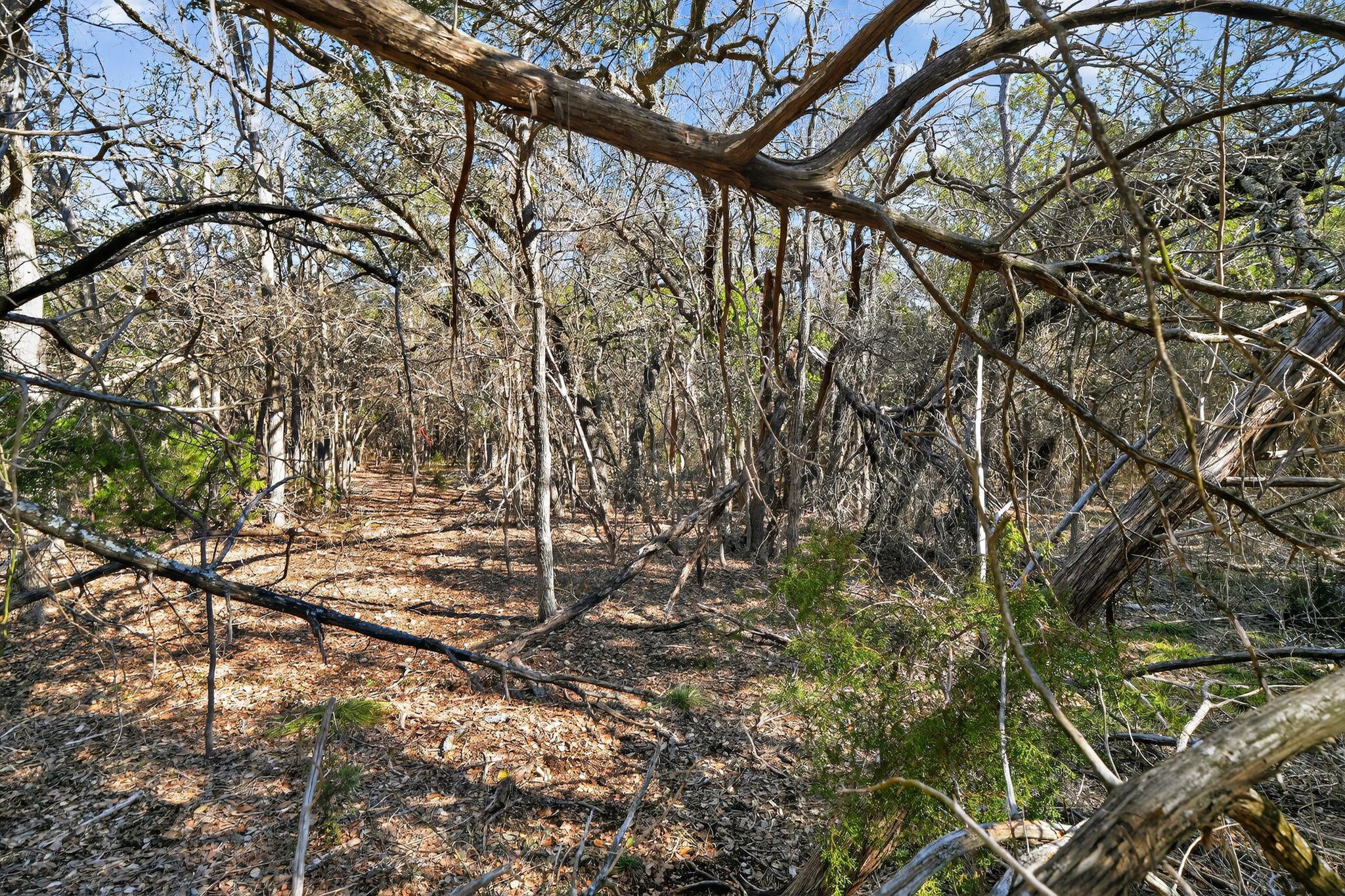 00 Royal St, Salado, TX 76571