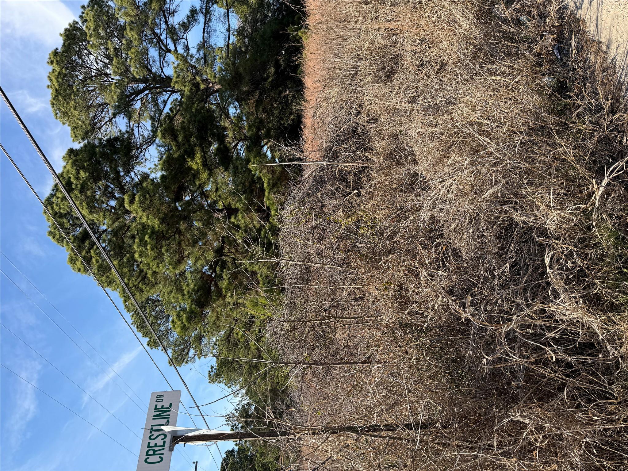 Lot 20 Indian Oak Dr, Bastrop, TX 78602