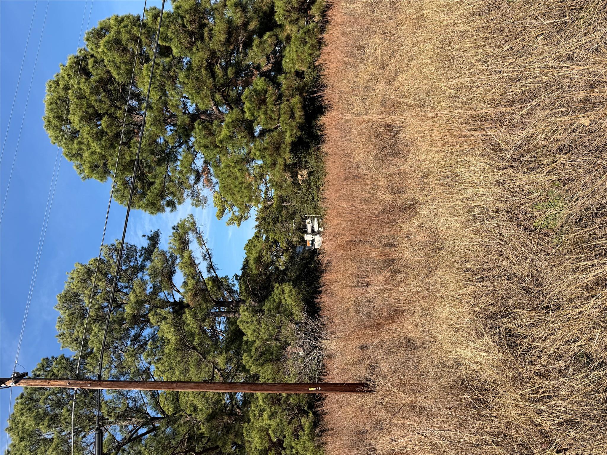 Lot 20 Indian Oak Dr, Bastrop, TX 78602