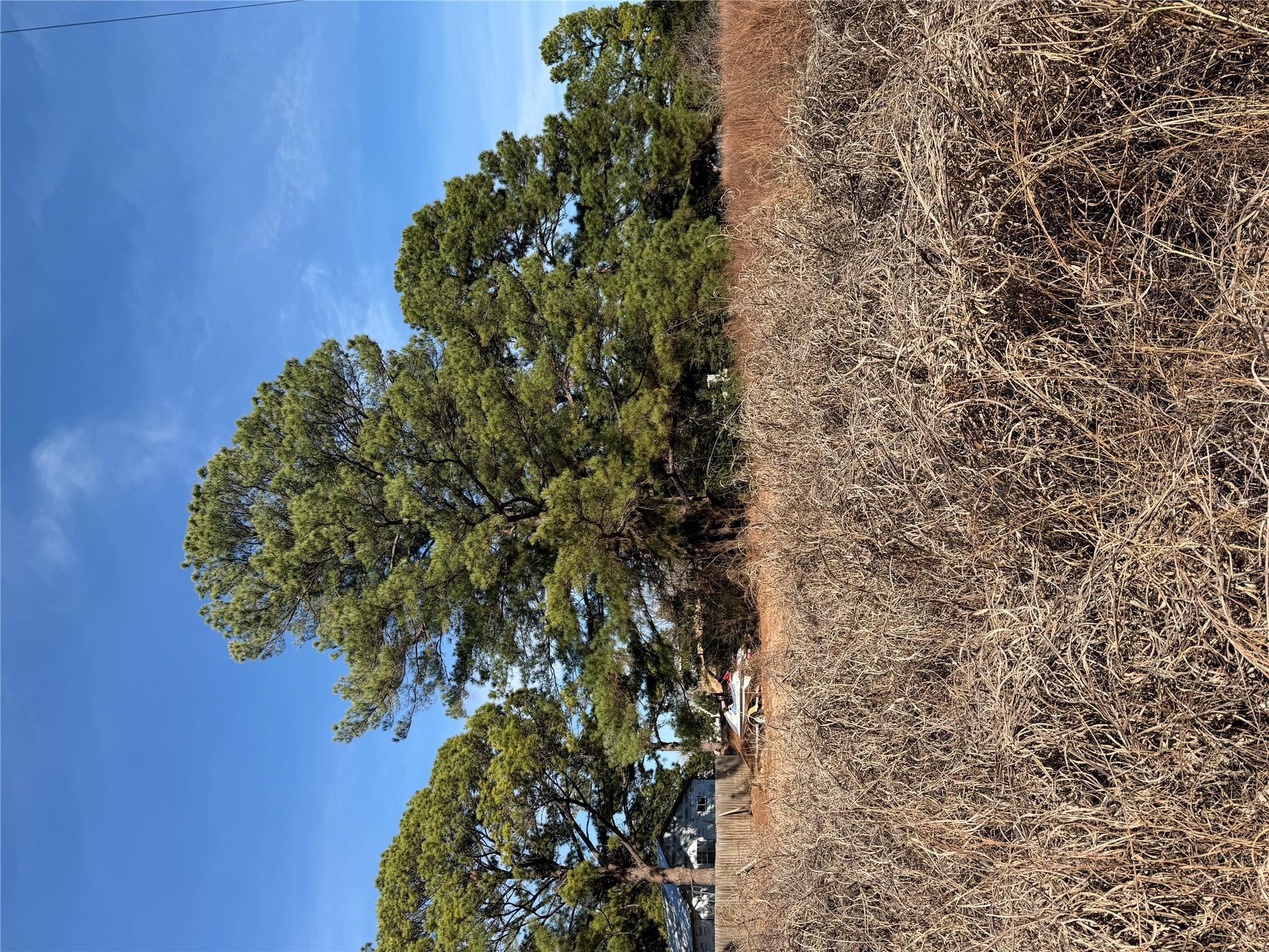 Lot 20 Indian Oak Dr, Bastrop, TX 78602