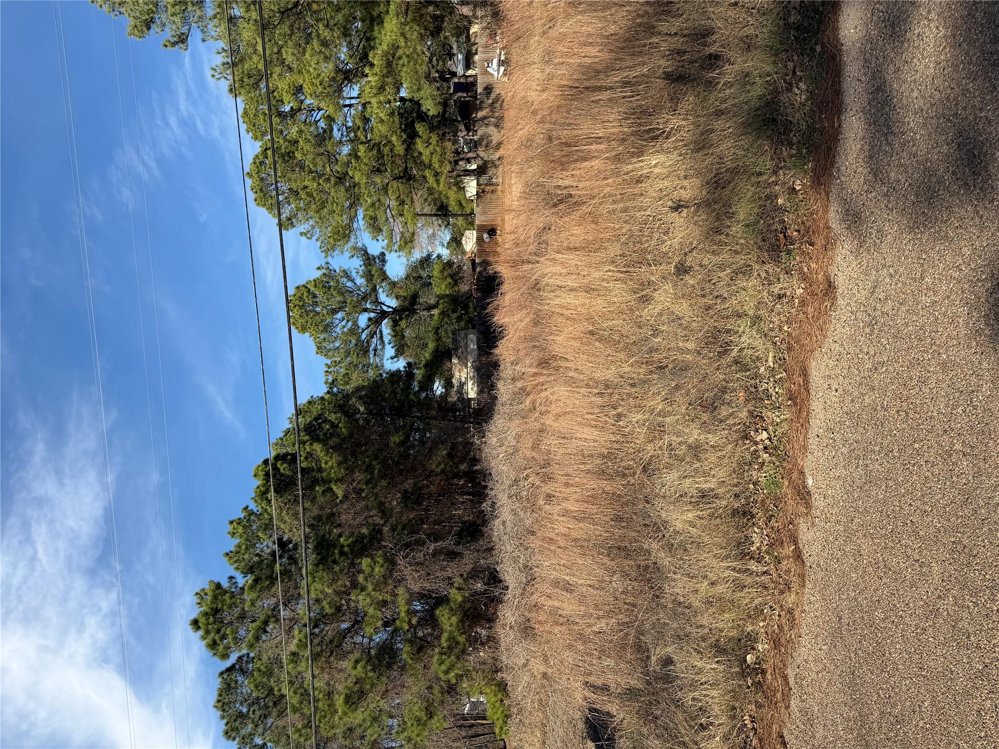 Lot 20 Indian Oak Dr, Bastrop, TX 78602