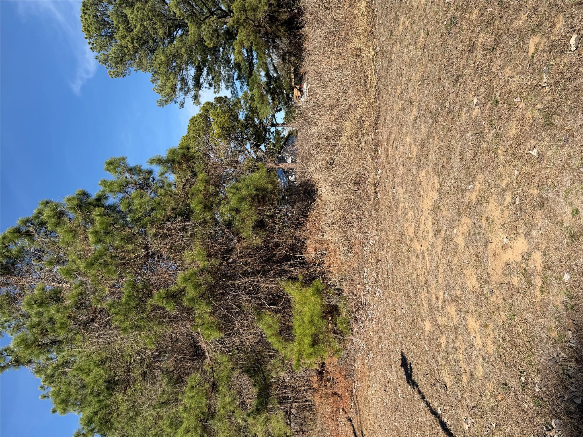 Lot 20 Indian Oak Dr, Bastrop, TX 78602