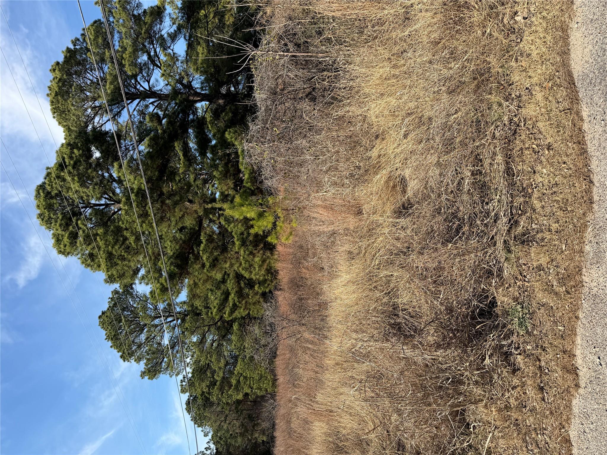 Lot 20 Indian Oak Dr, Bastrop, TX 78602