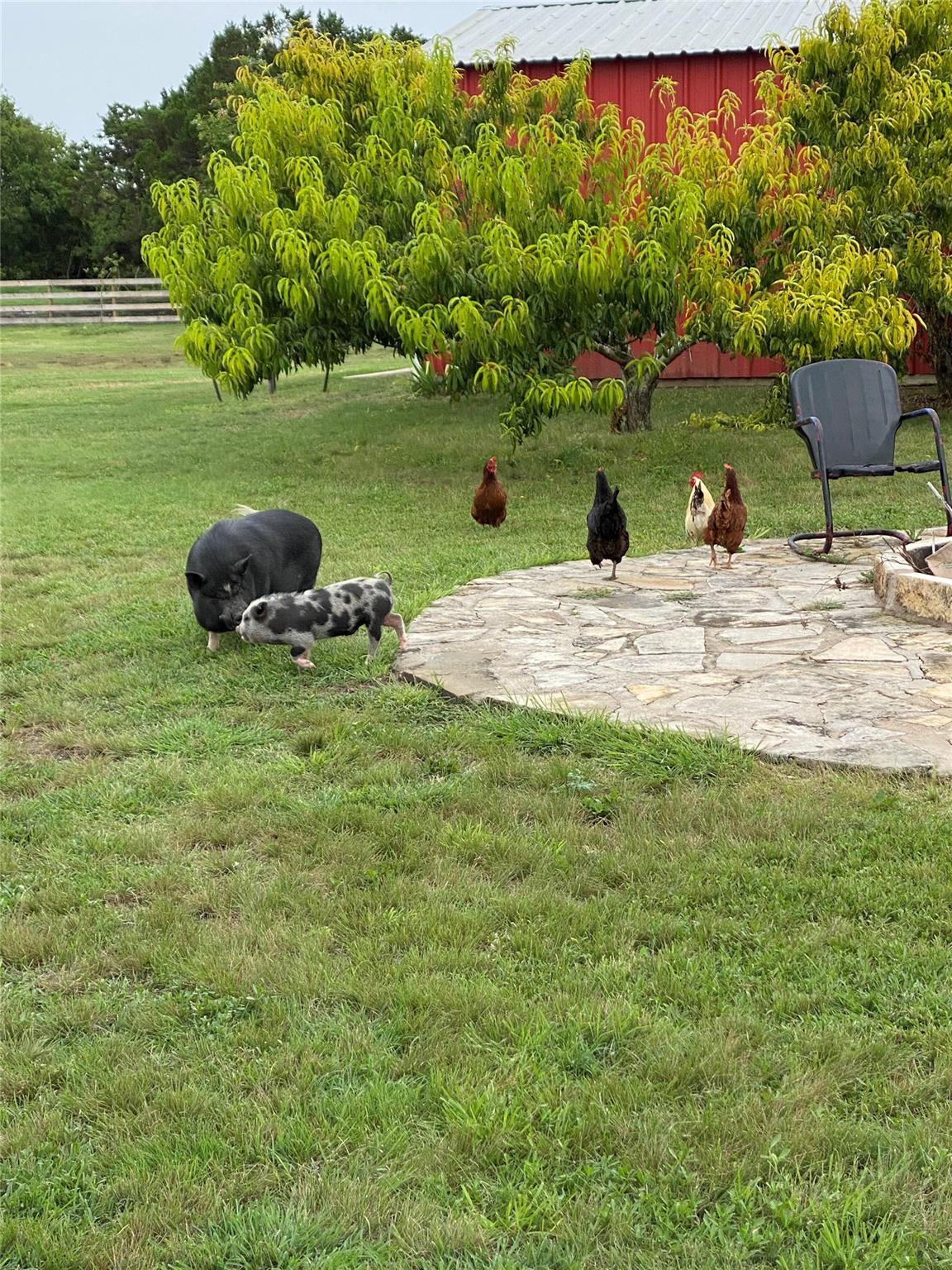 255 Glasscock Rd, Liberty Hill, TX 78642