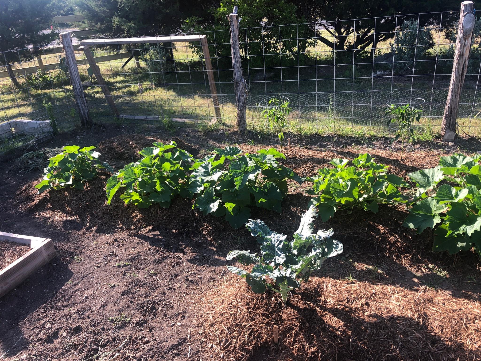 255 Glasscock Rd, Liberty Hill, TX 78642