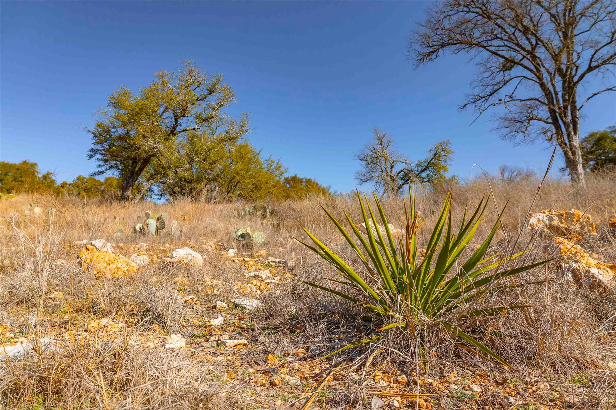 000 River Pl, Johnson City, TX 78636