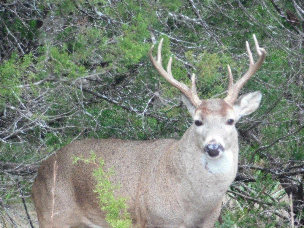 5911 Lago Vista Way # B, Lago Vista, TX 78645