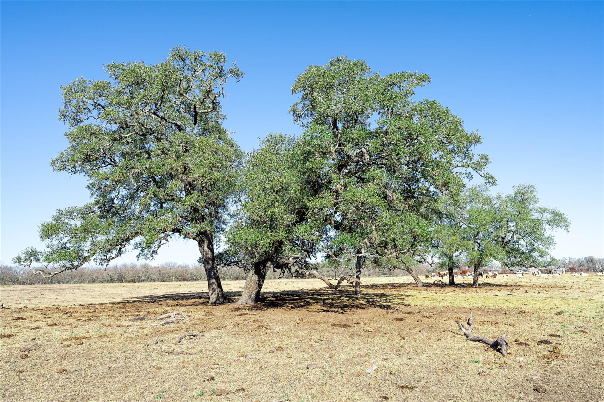 TBD Richards Dr, Del Valle, TX 78617