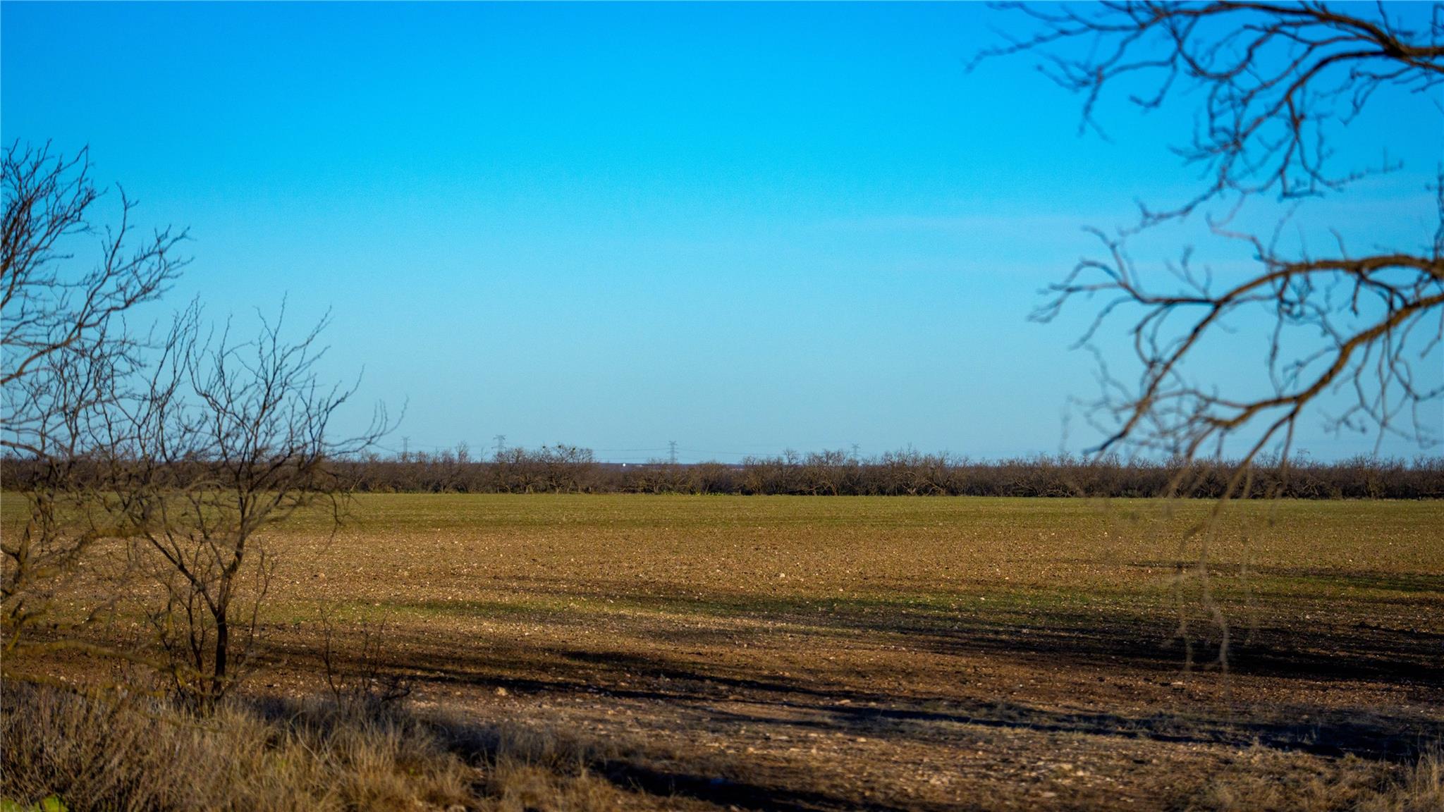 20775 County Road 1445, Paint Rock, TX 76866