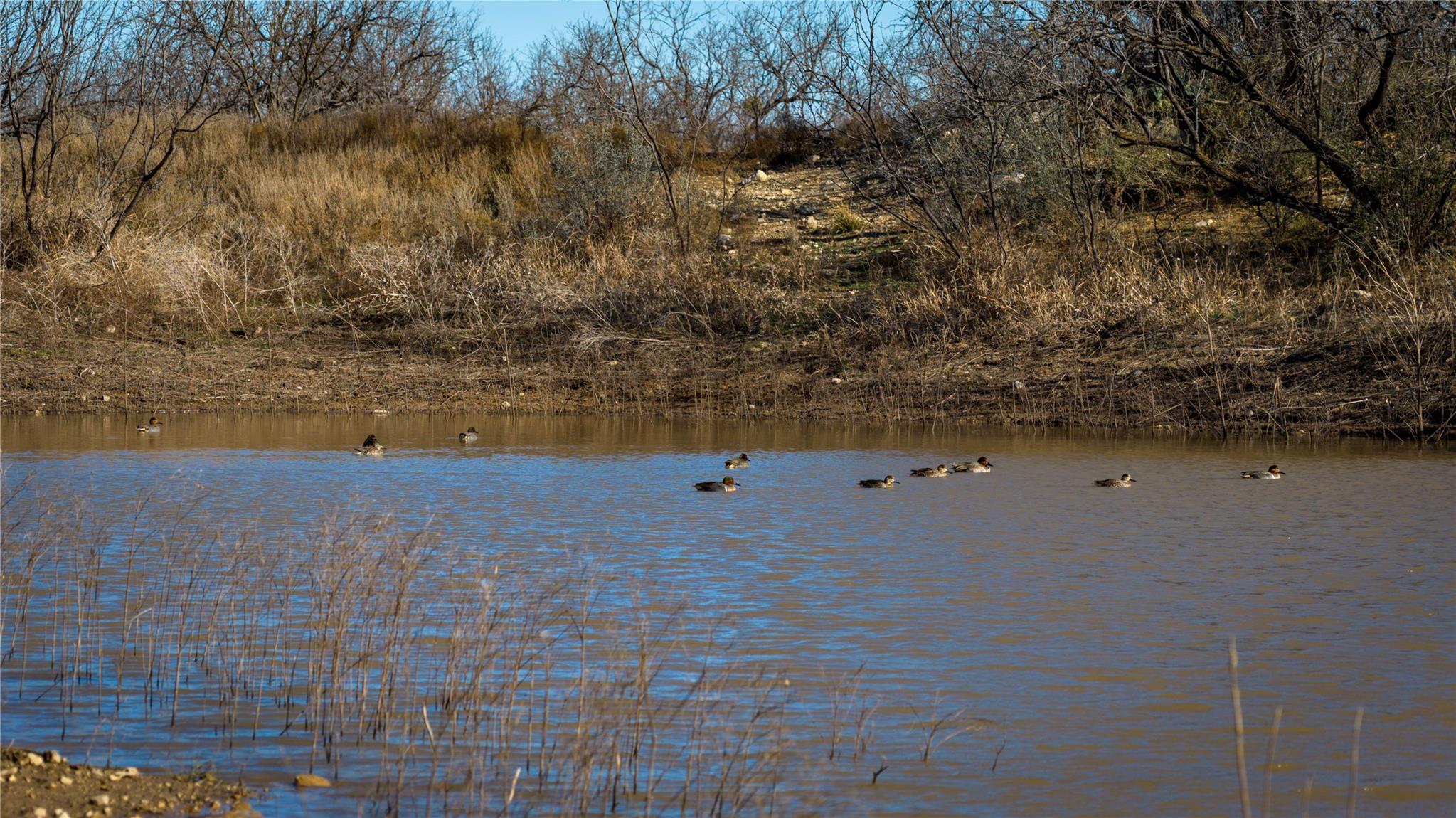 20775 County Road 1445, Paint Rock, TX 76866