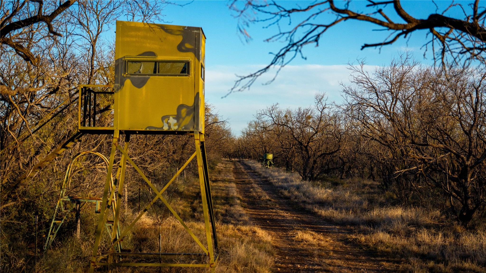 20775 County Road 1445, Paint Rock, TX 76866