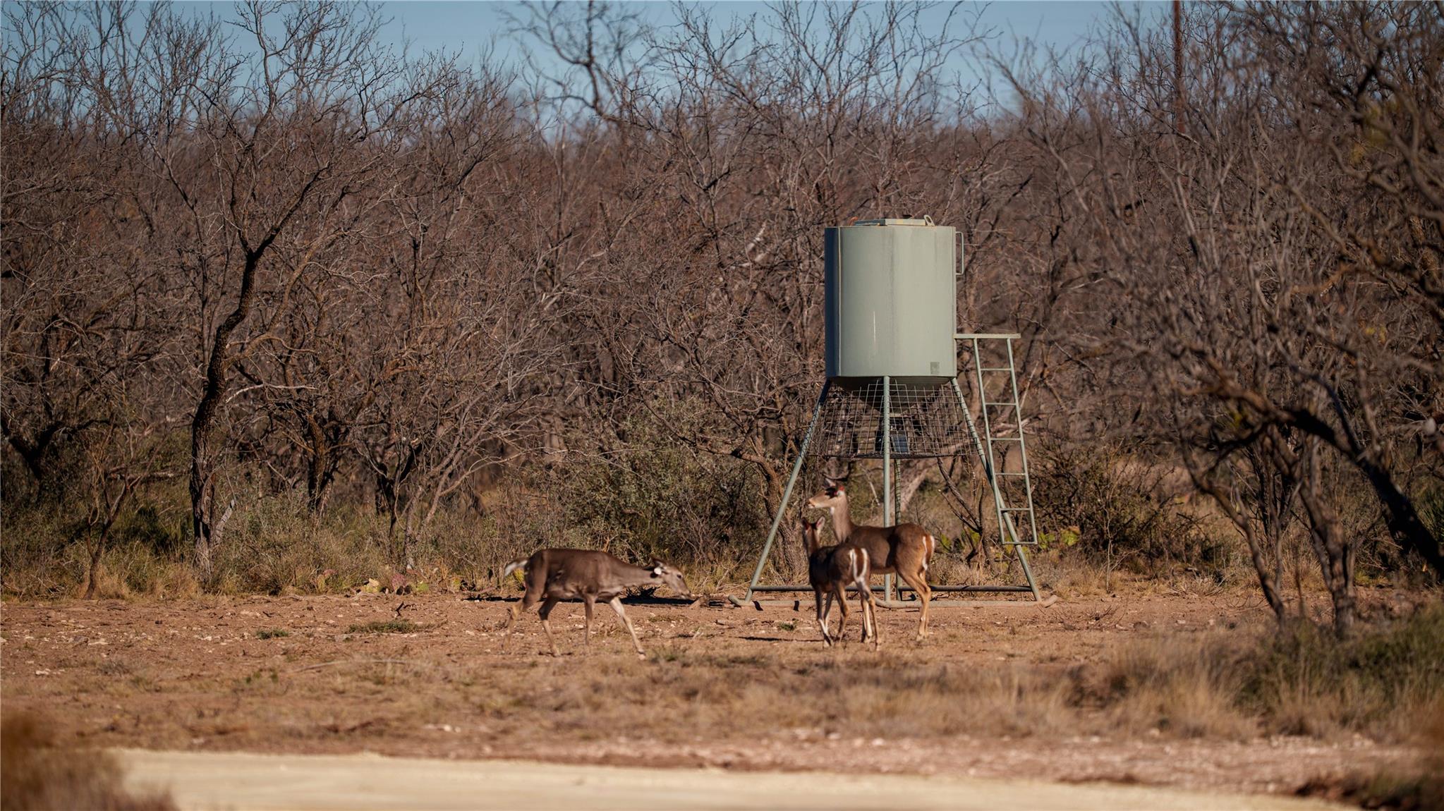 20775 County Road 1445, Paint Rock, TX 76866