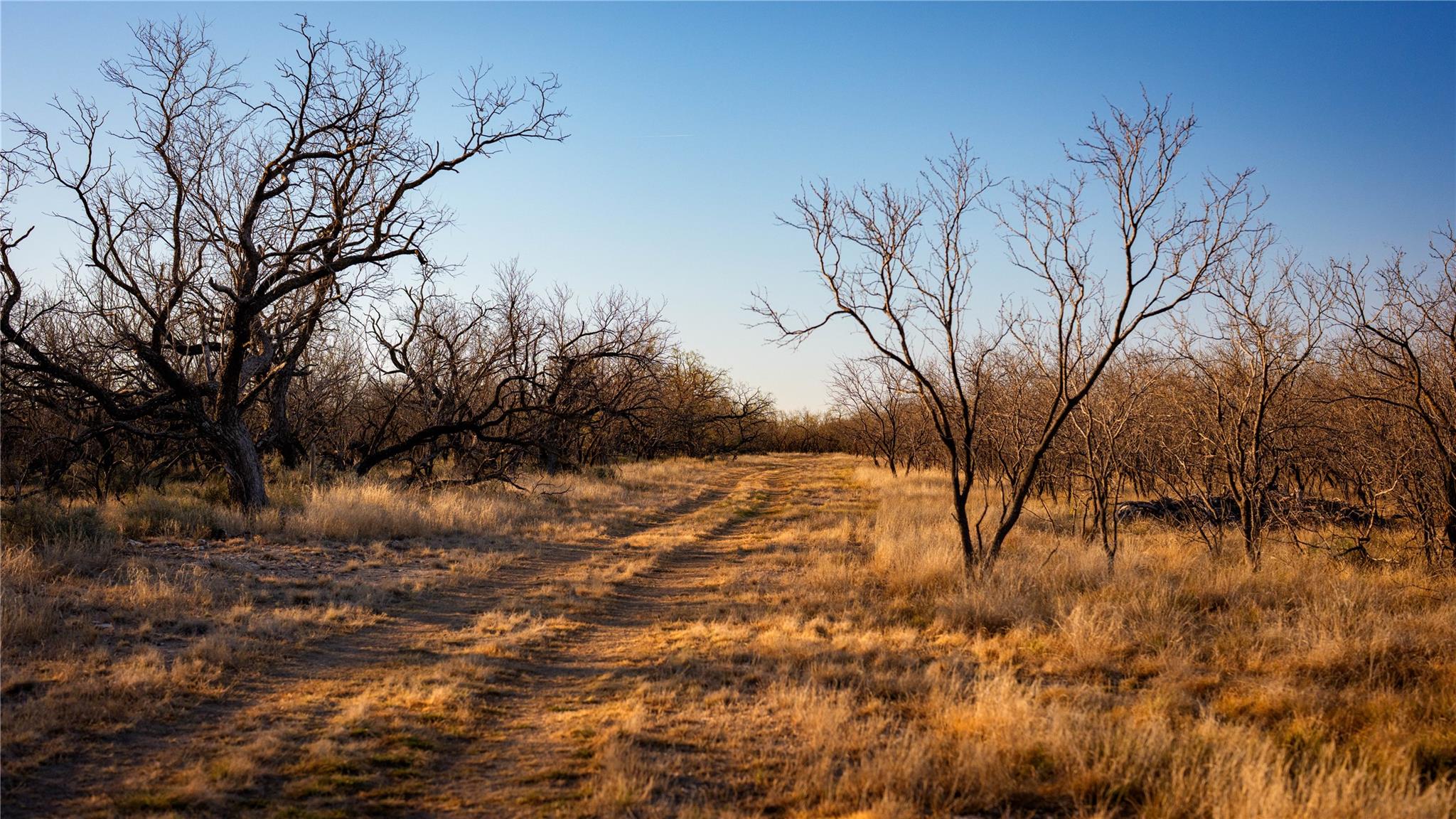 20775 County Road 1445, Paint Rock, TX 76866