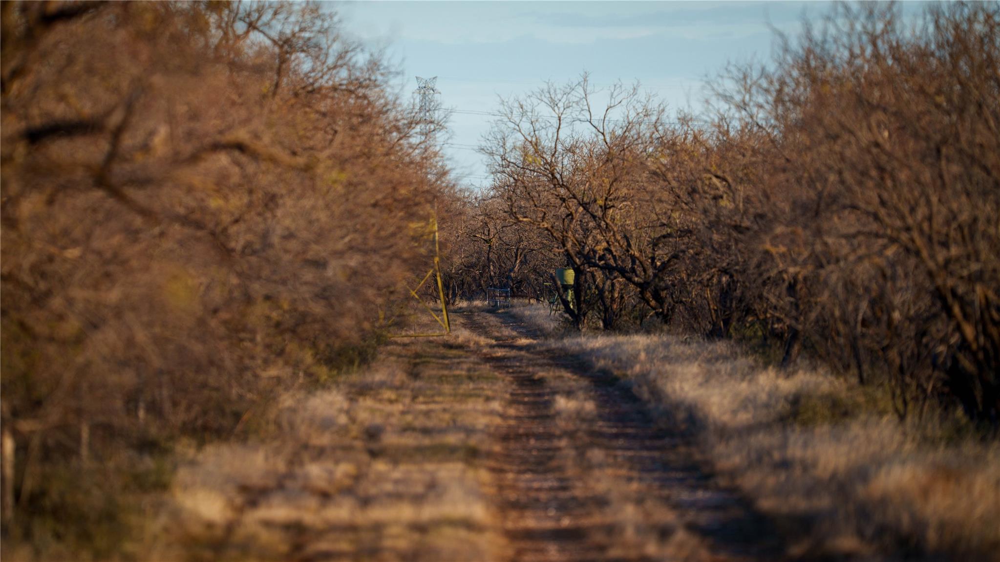 20775 County Road 1445, Paint Rock, TX 76866