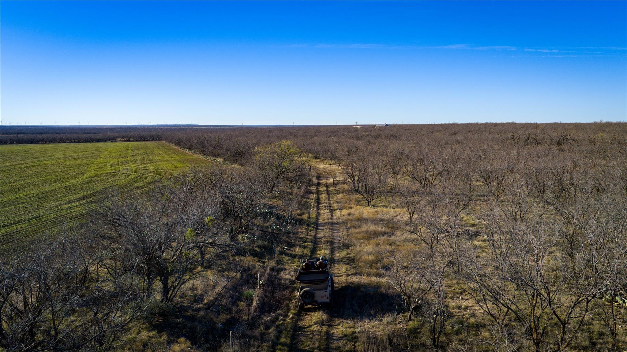 20775 County Road 1445, Paint Rock, TX 76866