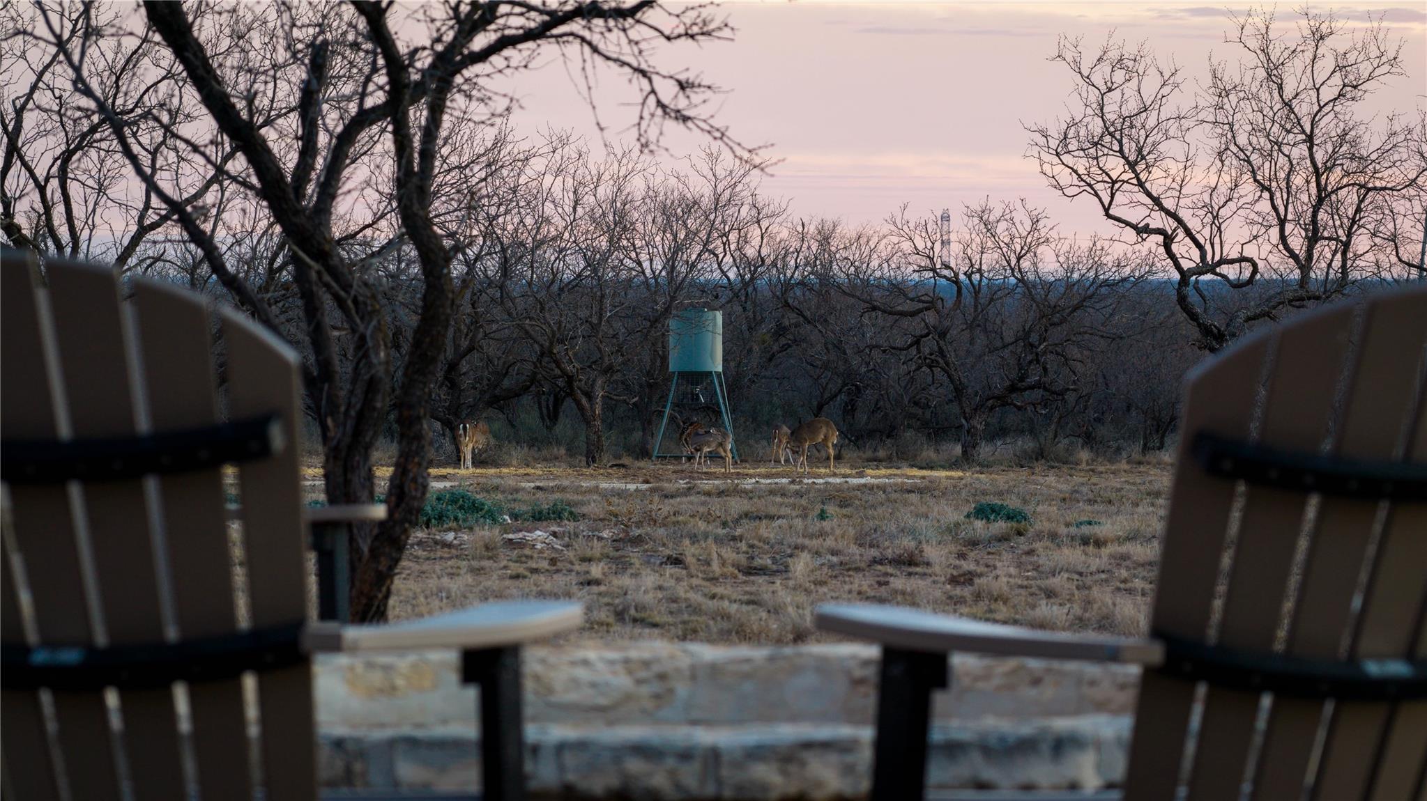 20775 County Road 1445, Paint Rock, TX 76866