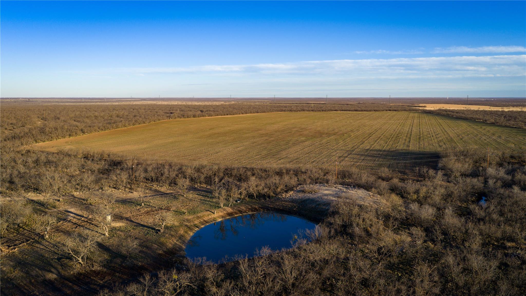 20775 County Road 1445, Paint Rock, TX 76866