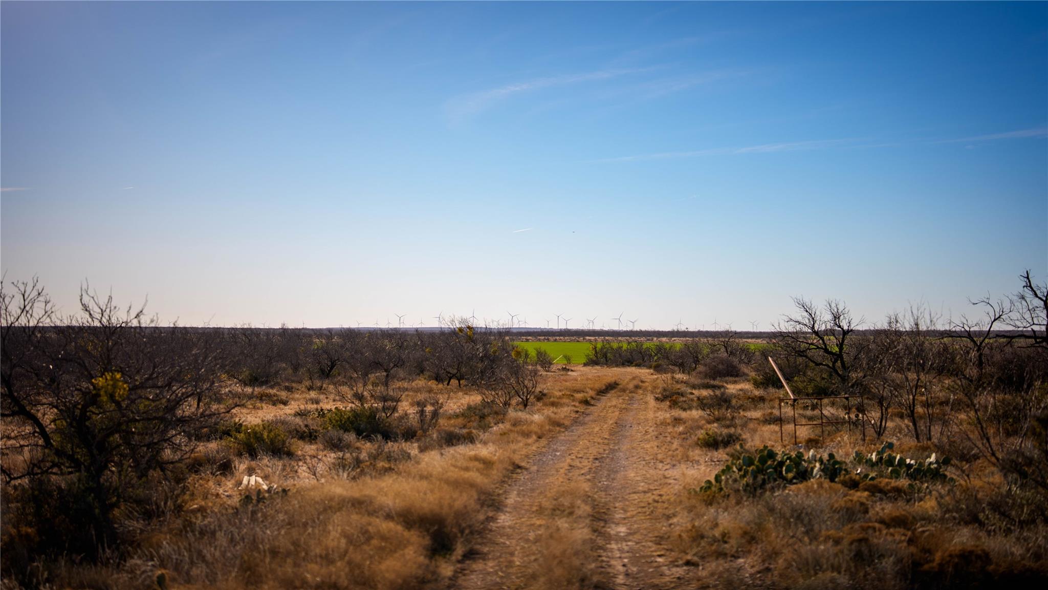 20775 County Road 1445, Paint Rock, TX 76866