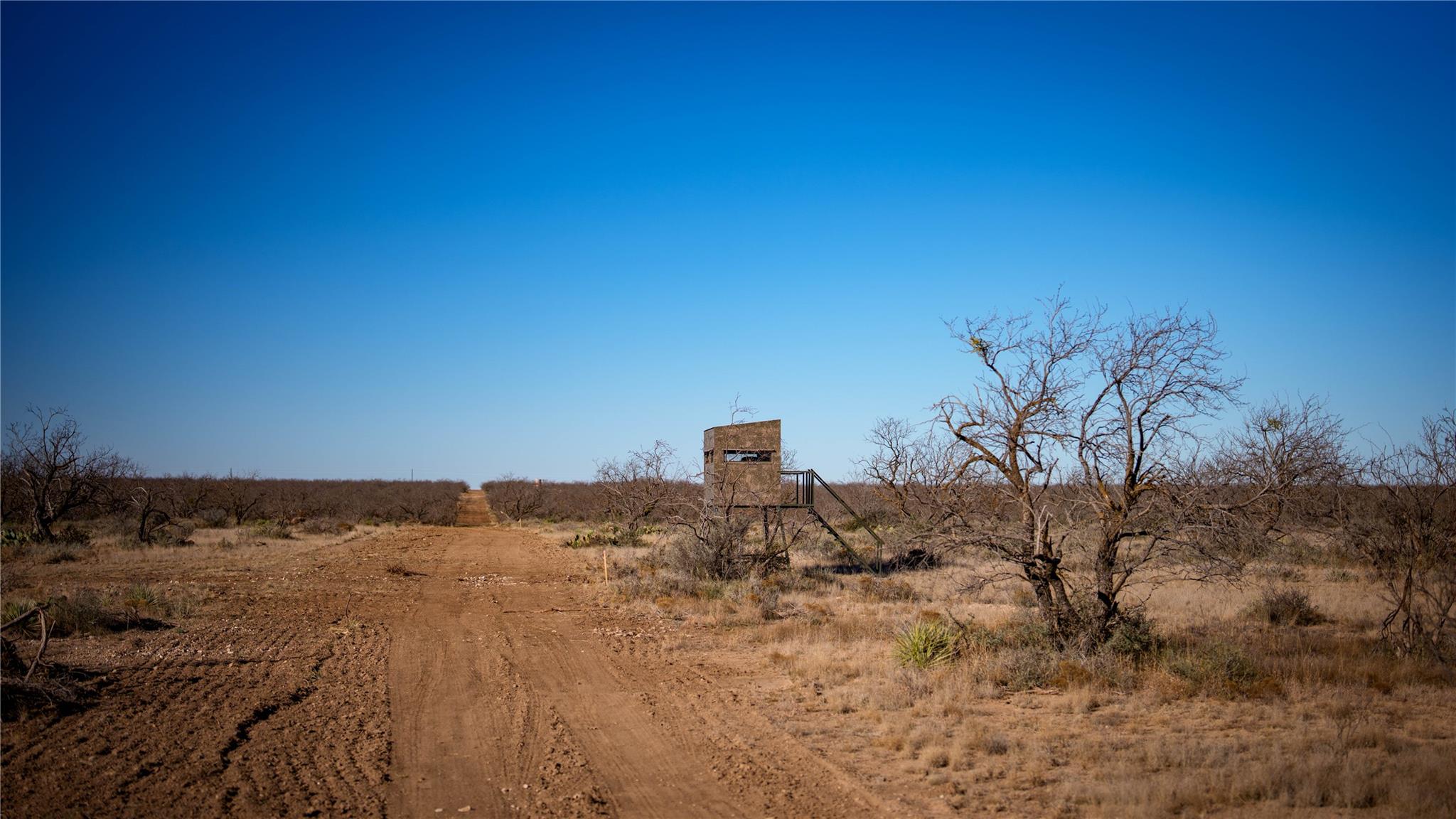 20775 County Road 1445, Paint Rock, TX 76866