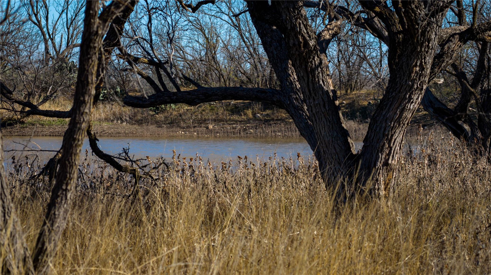 20775 County Road 1445, Paint Rock, TX 76866