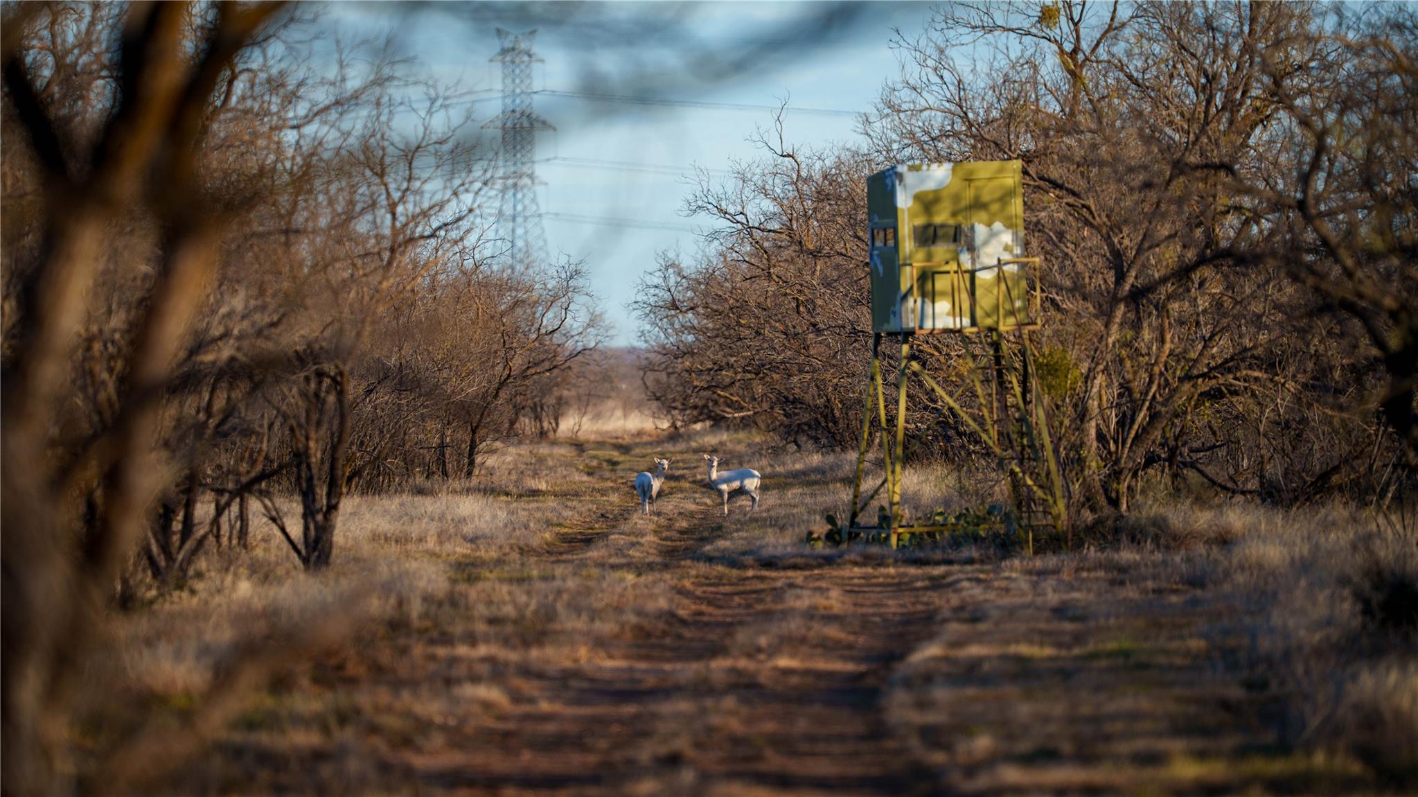 20775 County Road 1445, Paint Rock, TX 76866