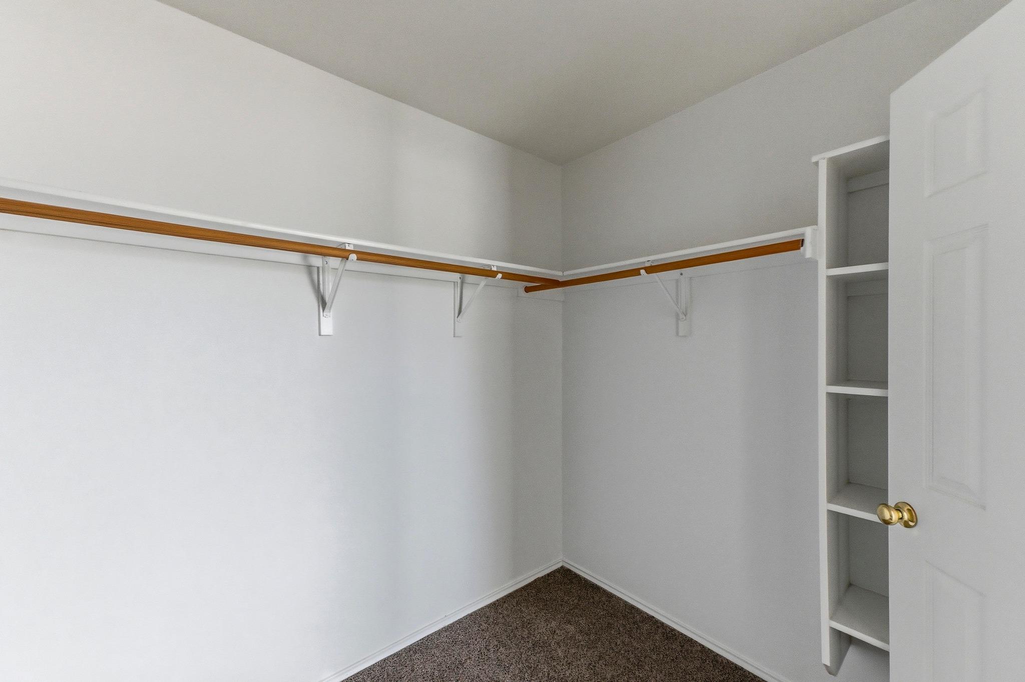 113 Spring Branch Cv, Kyle, TX 78640