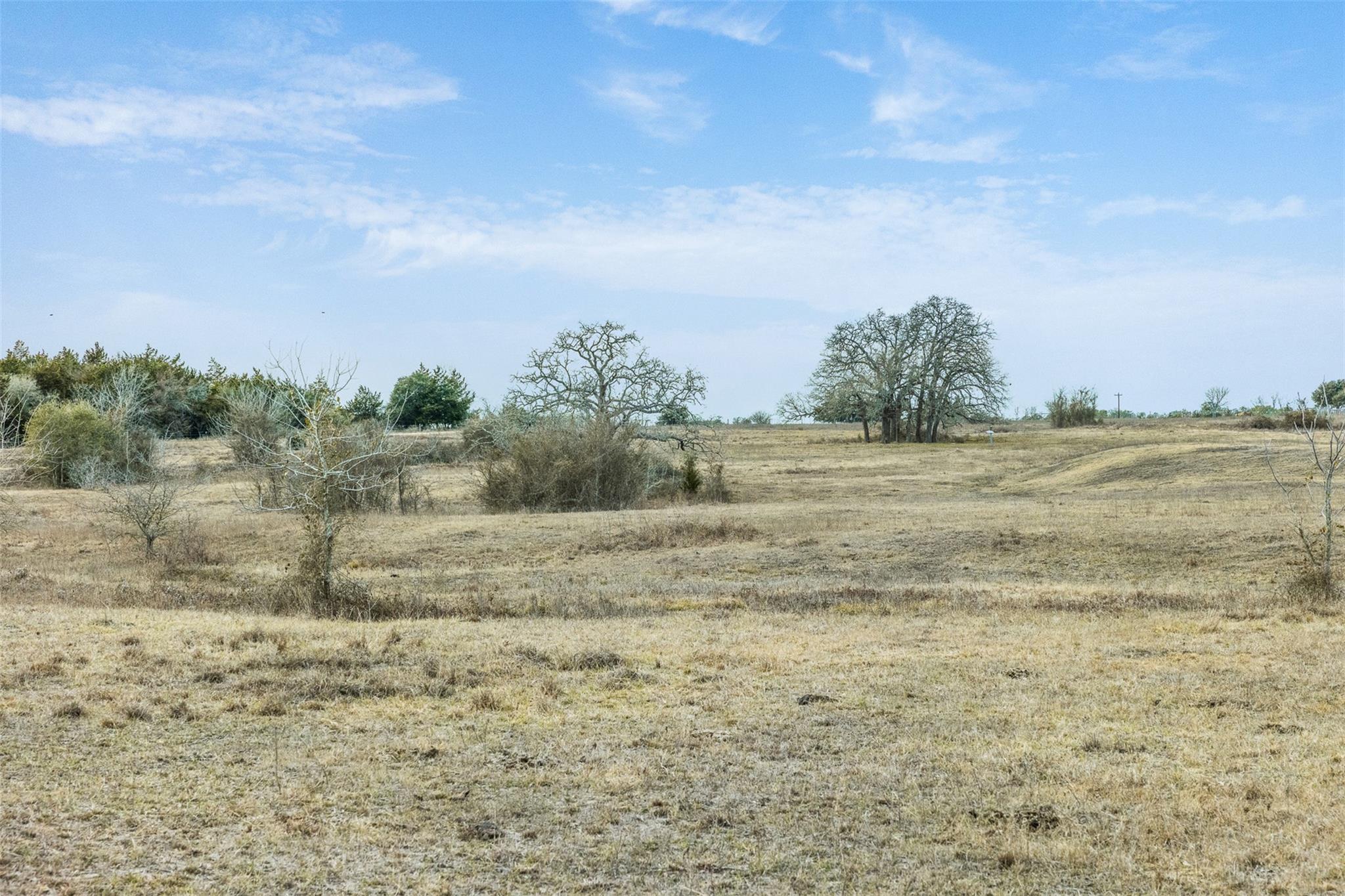 1310 N Nassau Rd, Round Top, TX 78954