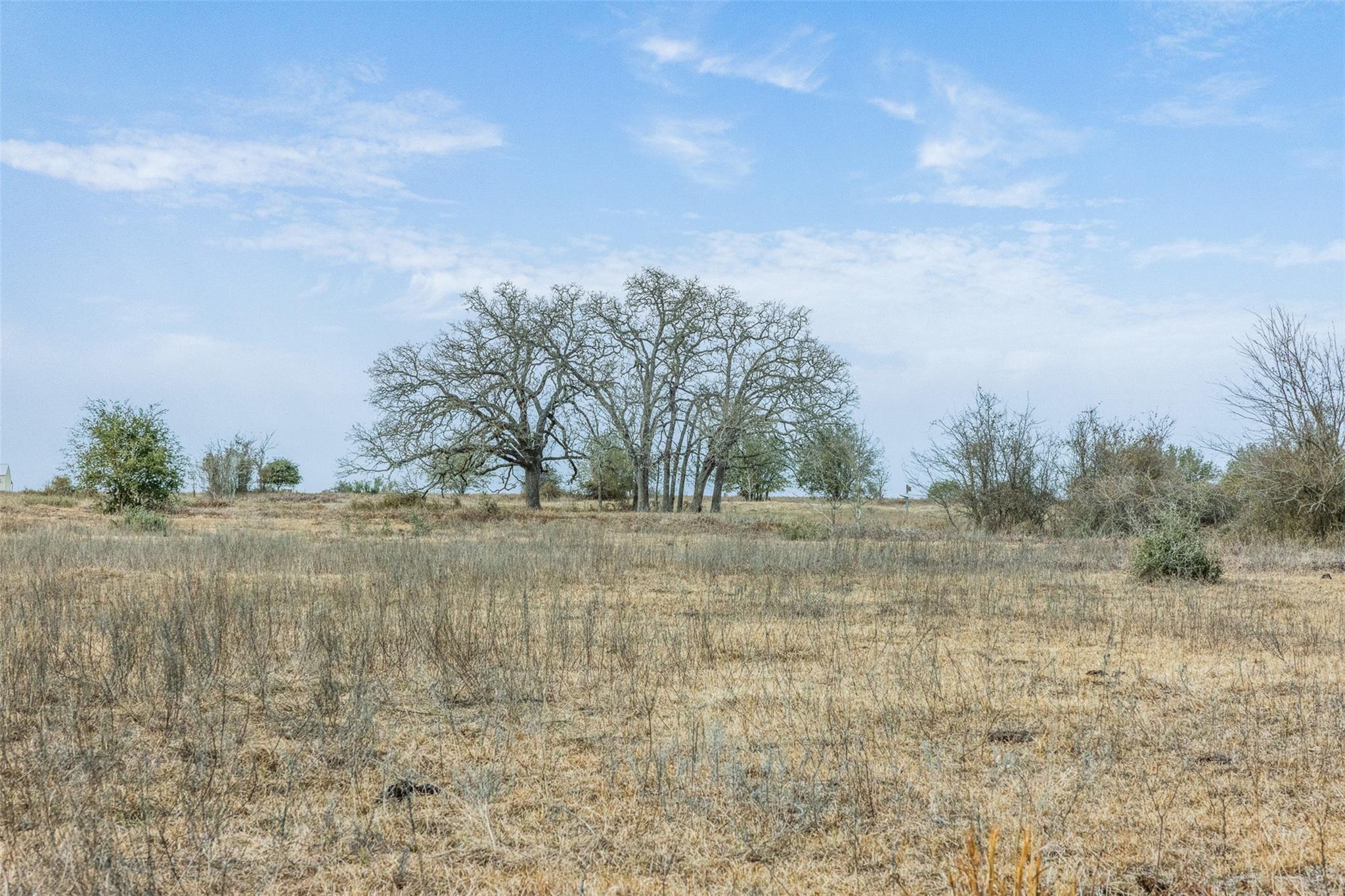 1310 N Nassau Rd, Round Top, TX 78954